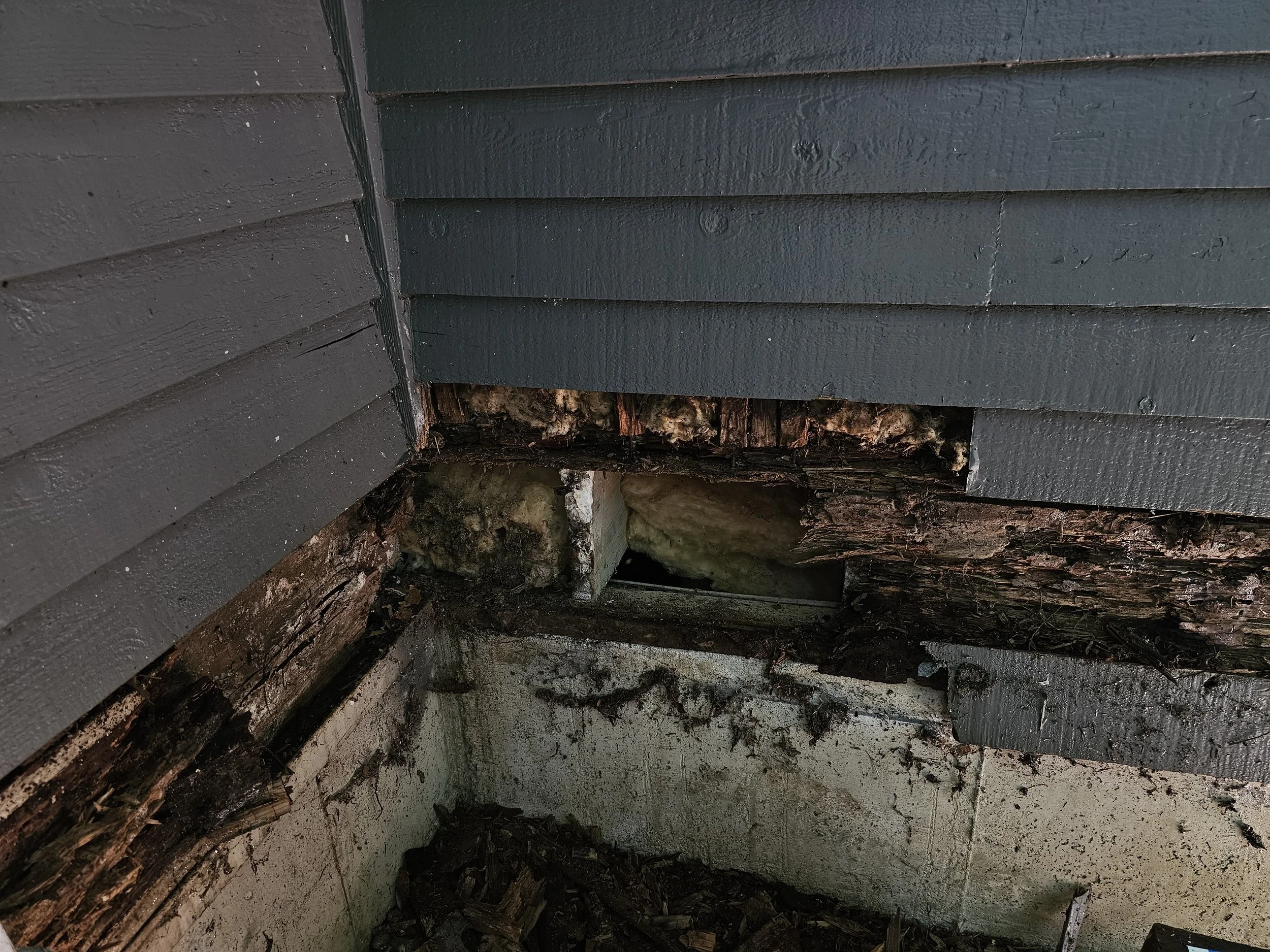 Close-up of damaged and rotting siding on a house with exposed insulation.