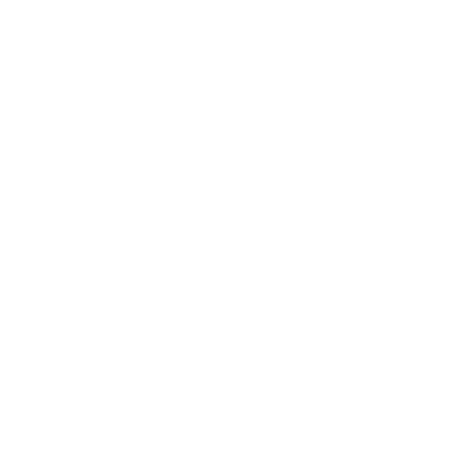 Screaming Eagle Construction