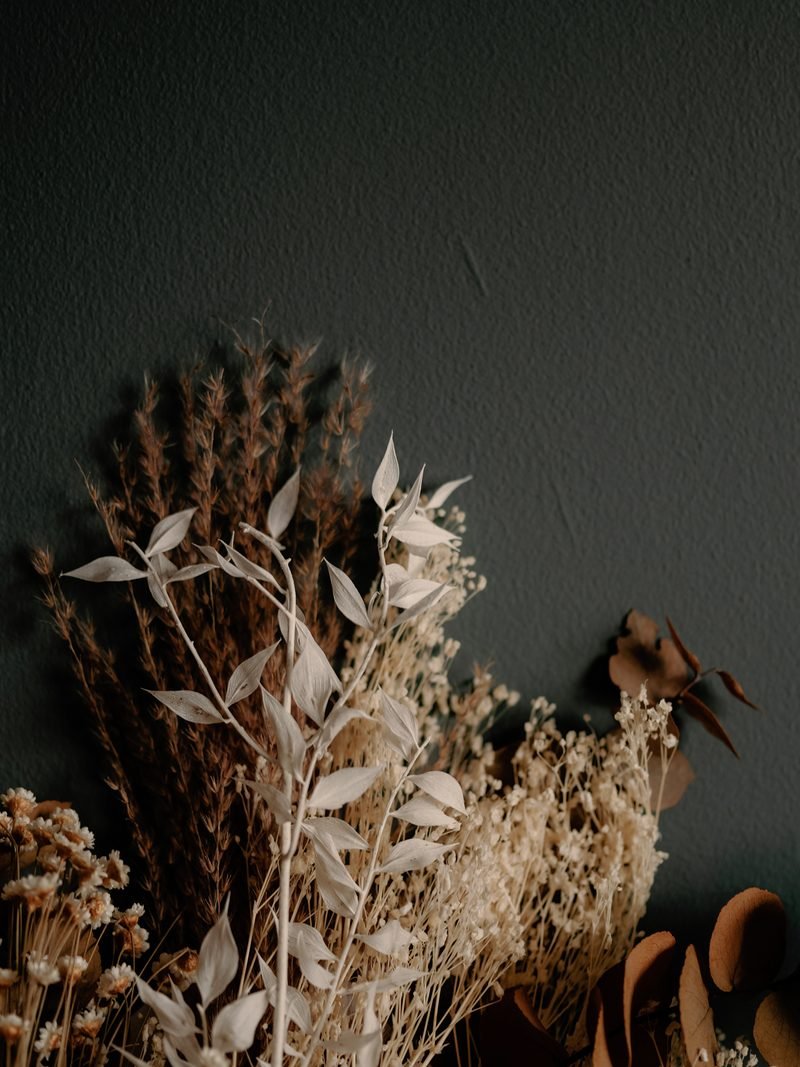 A collection of dried flowers and leaves arranged against a dark-colored wall.
