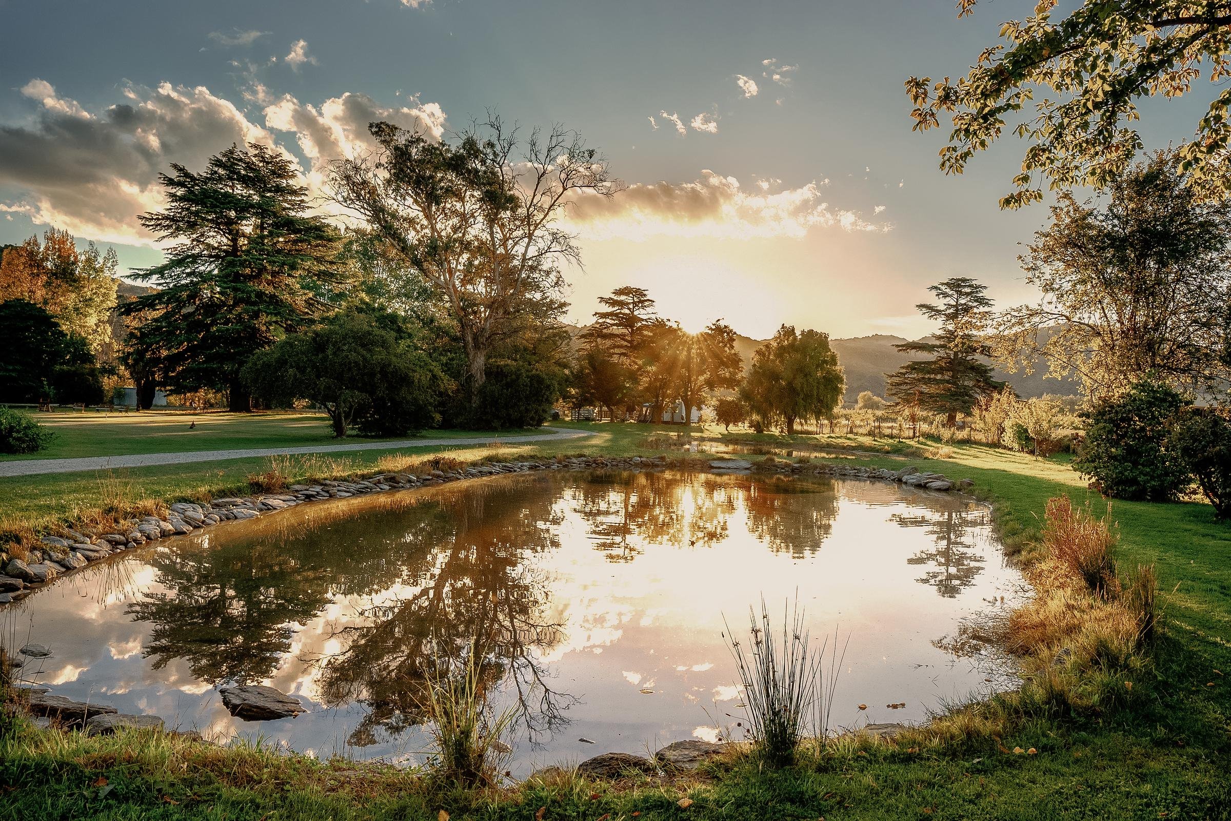 Sunset over a park with trees, a small pond, and a walking path, reflecting the sky and surrounding foliage.