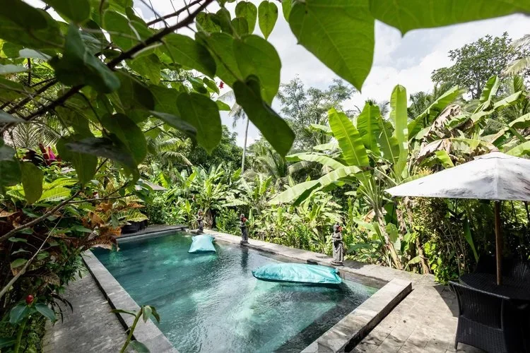 Venue_0002_Layer 2.jpg