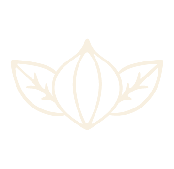 Stylized line drawing of a lotus flower with three petals and leaves