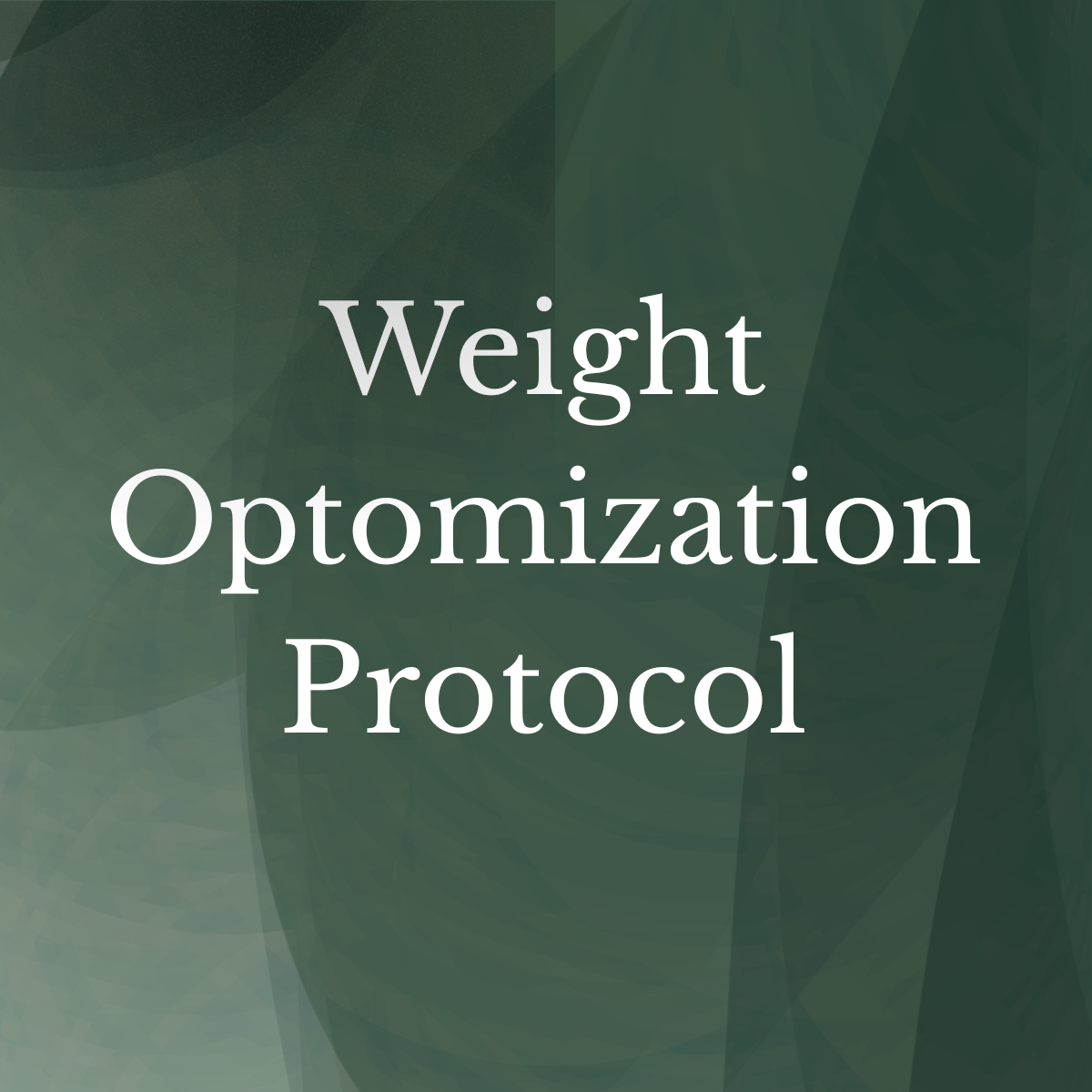 Weight Optimization Program