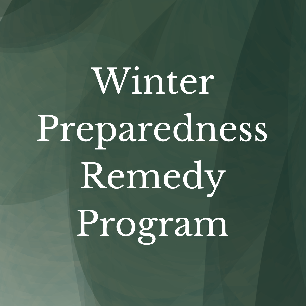 Winter Preparedness Remedy Program
