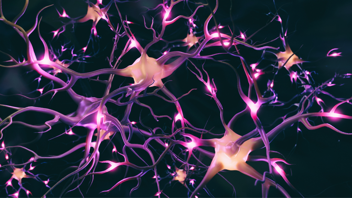 Digital illustration of interconnected neurons with glowing pink and purple branches in a dark background.