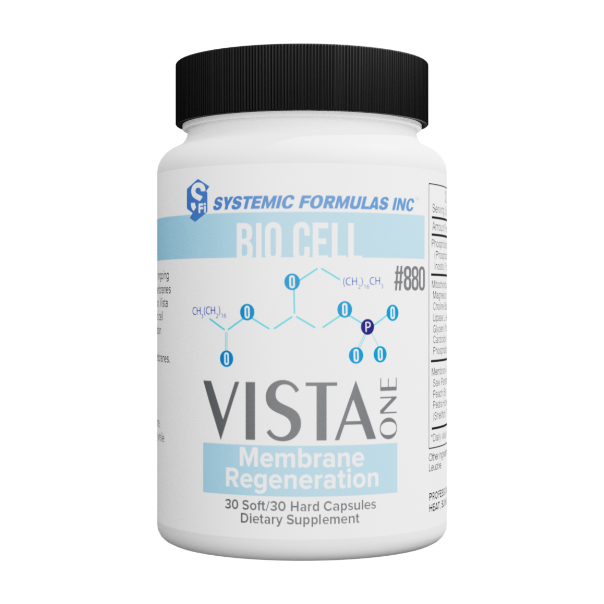 Brain Boost Protocol (3).png