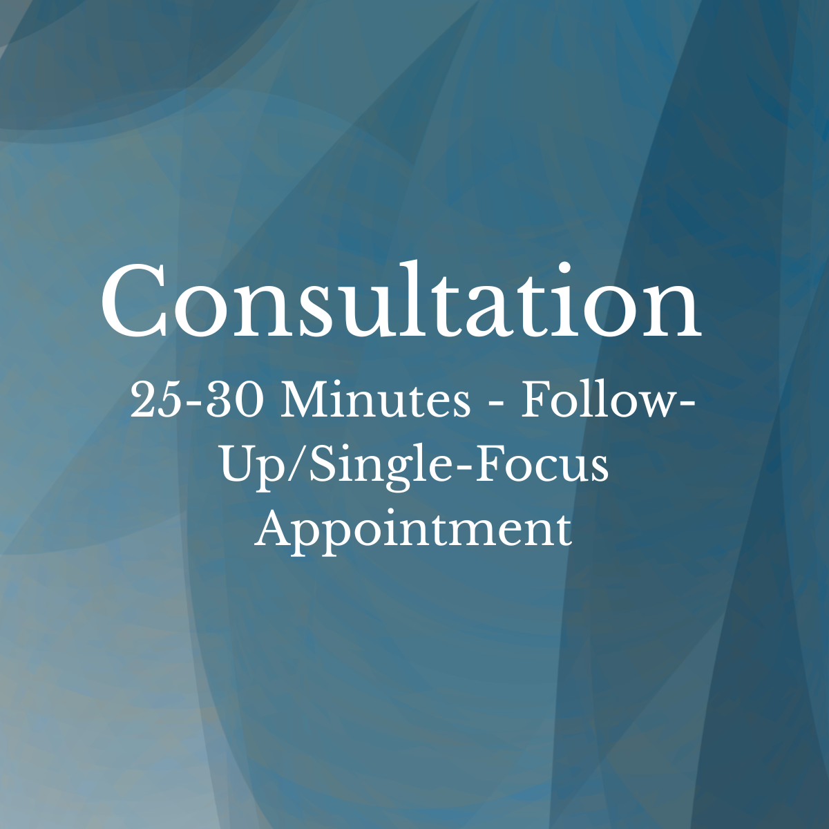 25-30 Minutes - Follow-Up/Single-Focus Appointment