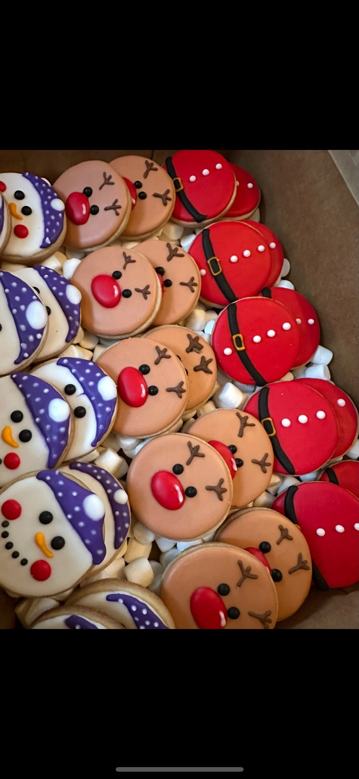 Assorted decorated Christmas cookies in holiday shapes including snowmen, reindeer, and Santa's hat