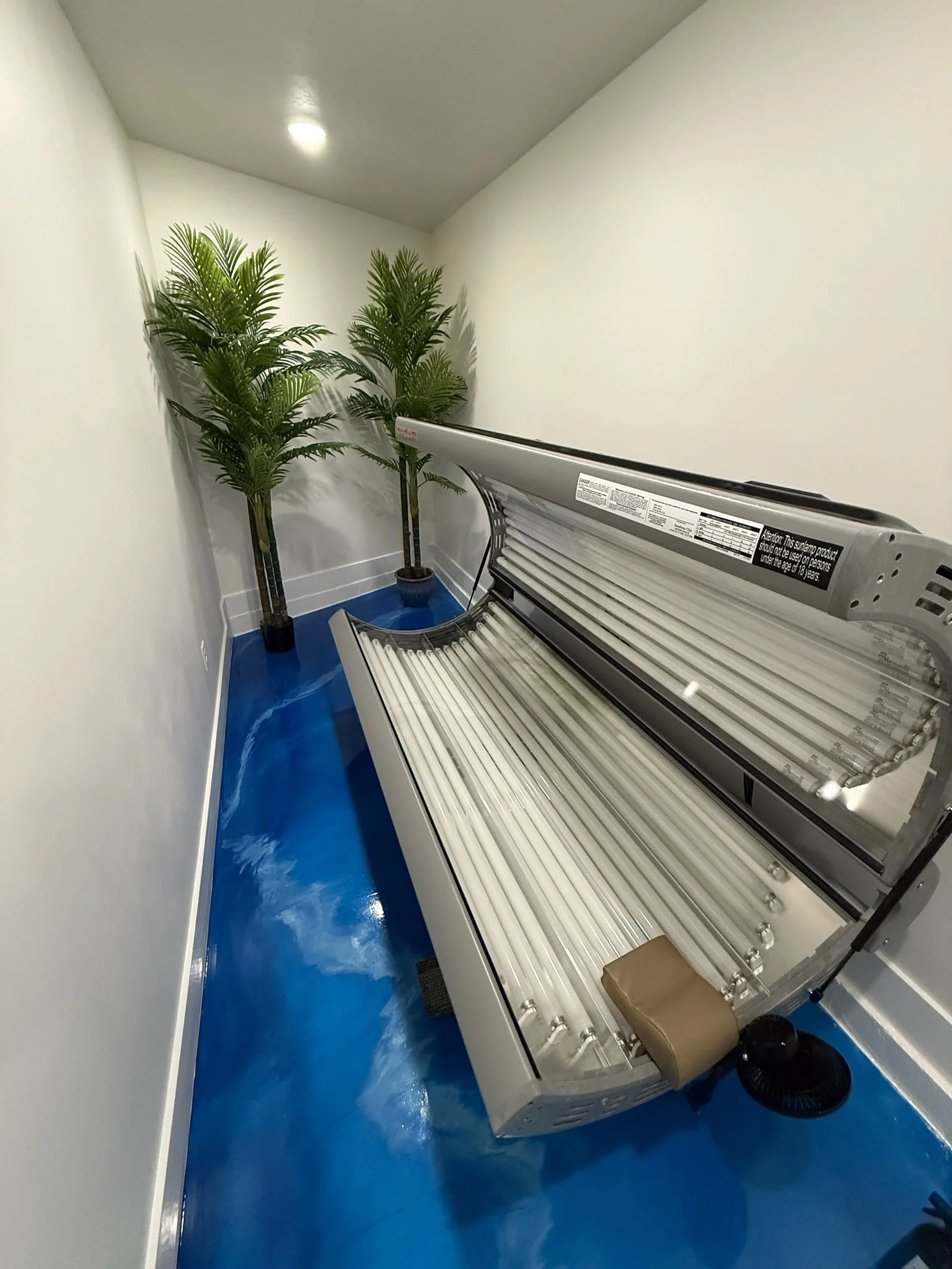 A tanning bed in a small room with white walls, blue floor, and two potted palm trees in the corner.