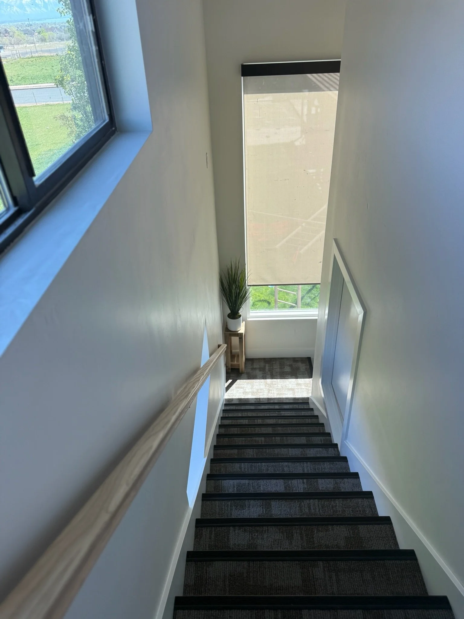 View of a staircase from the top, showing steps with dark carpet, a beige wall, a large window with a view of greenery, and a potted plant at the bottom of the stairs.