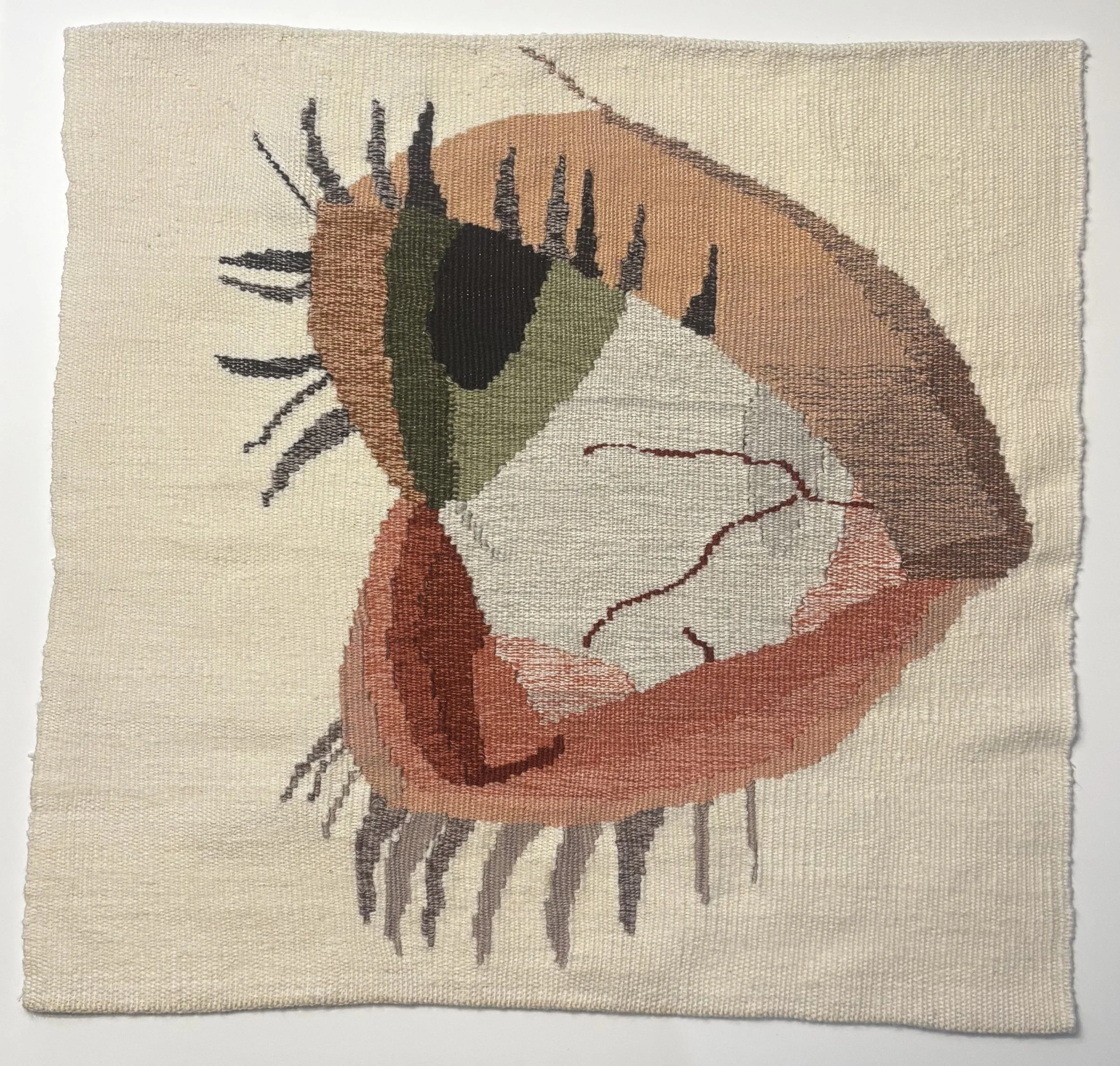 My Treacherous Eye (2026)