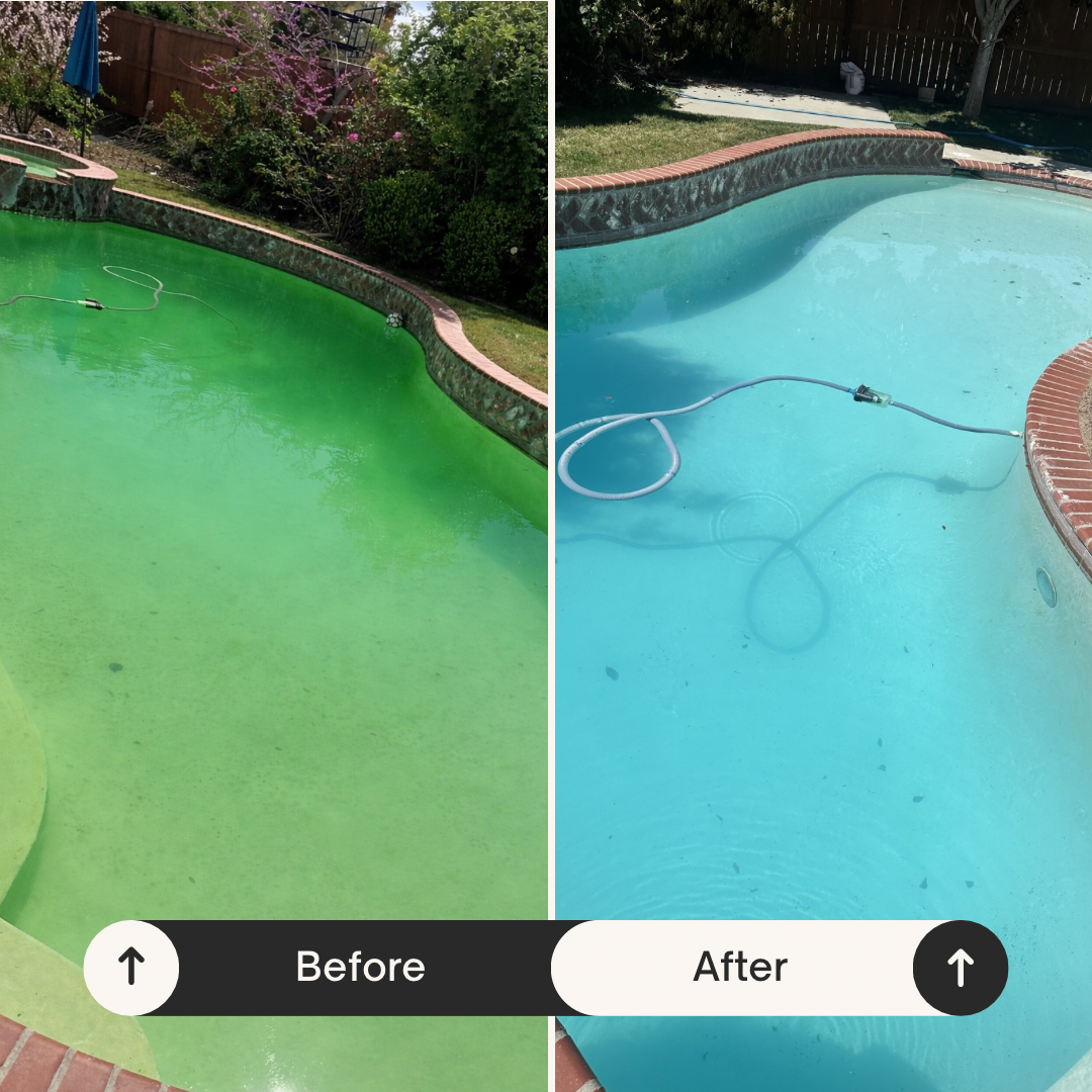 Side-by-side comparison of a swimming pool before and after cleaning. The left side shows a green, algae-covered pool, and the right side shows the same pool clean and clear.