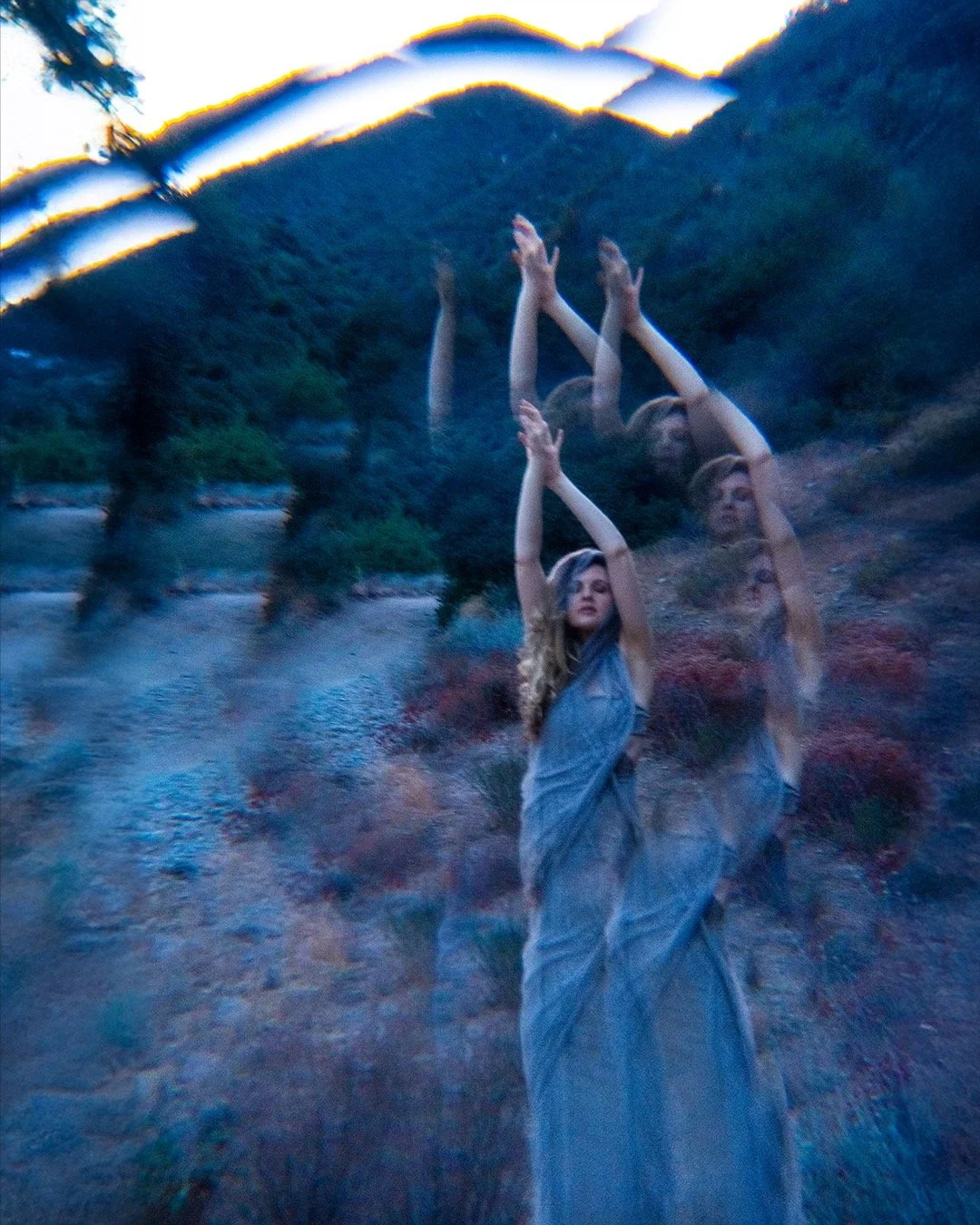 Cosmiyel in Angeles National Forest