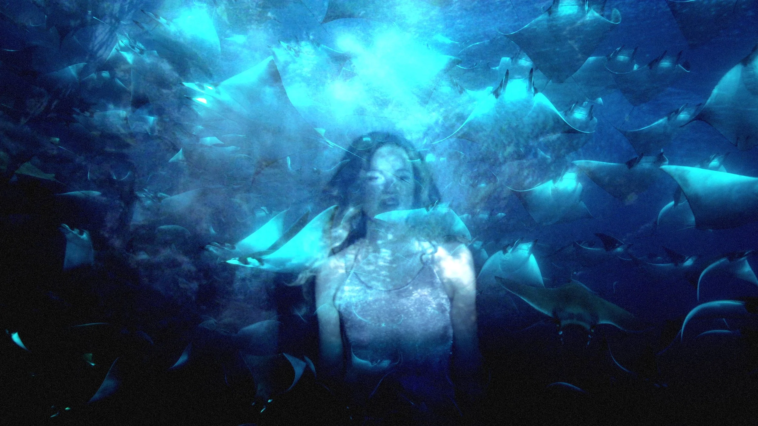 underwater siren 2_still01.jpg