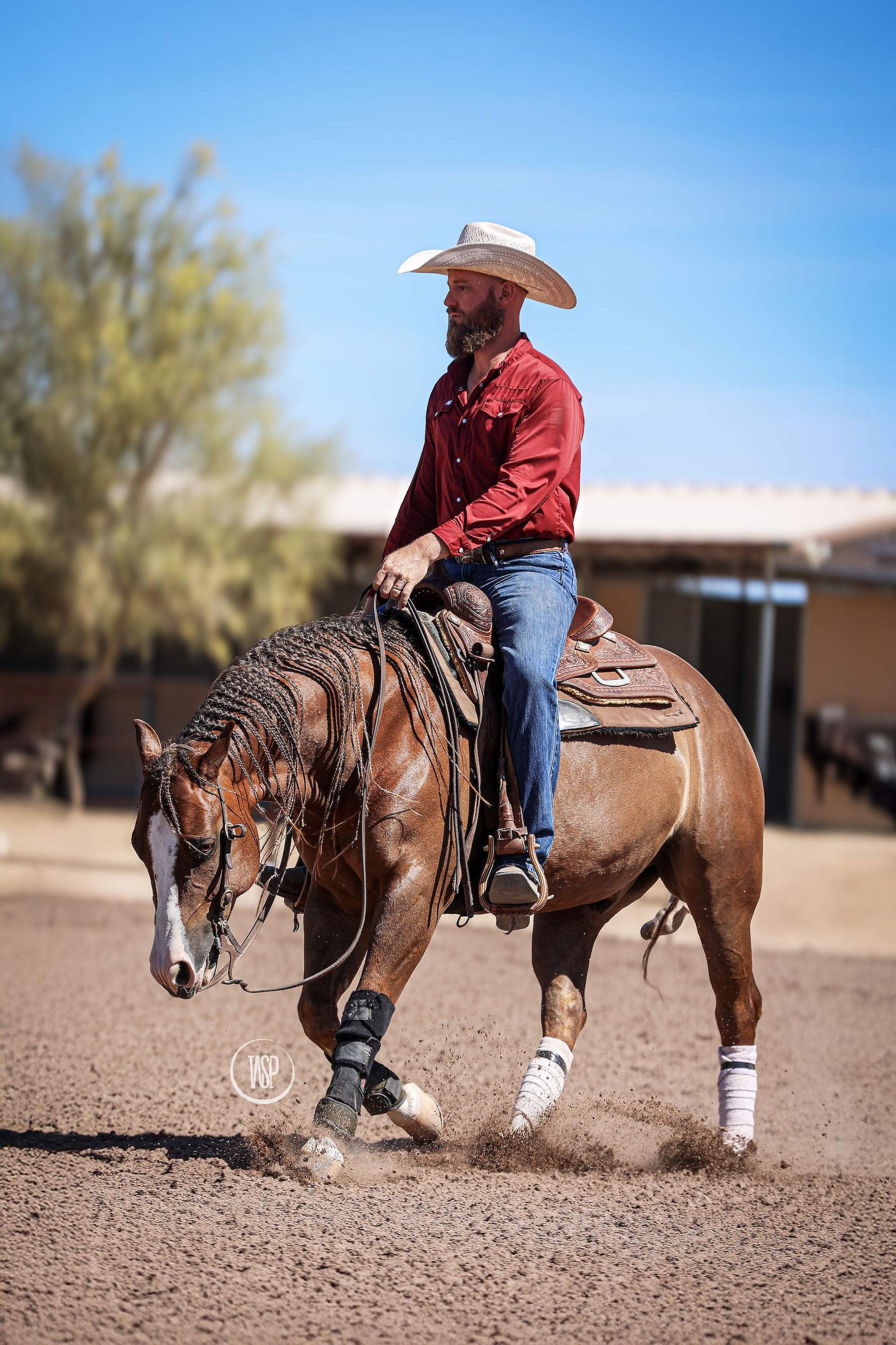 Copy of WSP_3432_2.png