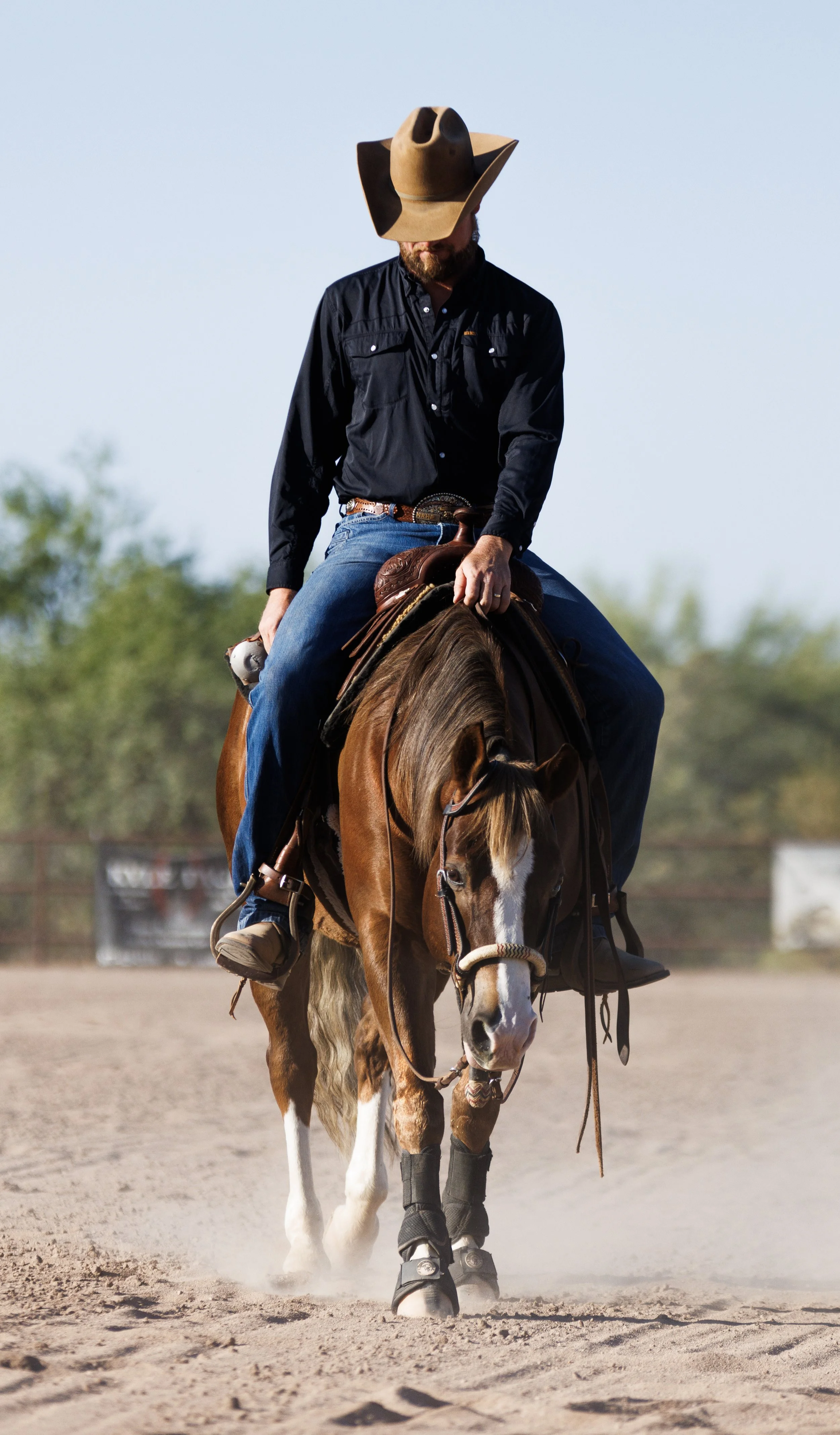 Copy of MEGA7341.jpg