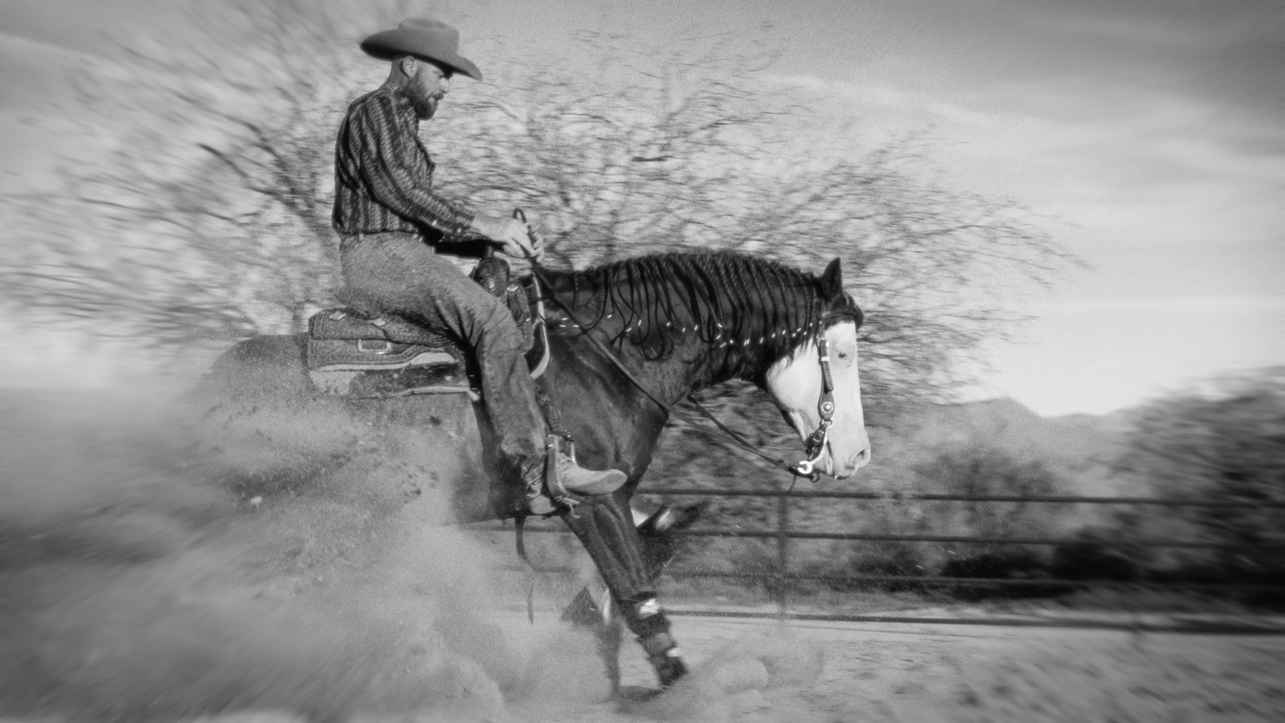 Still 2026-01-15 070517_1.144.1.jpg