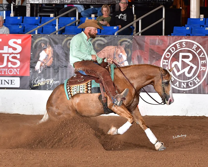 217 CR24p1A,2-211greendyk85.jpg