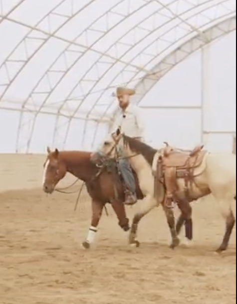 Screenshot 2026-03-09 at 10.43.19 PM.png