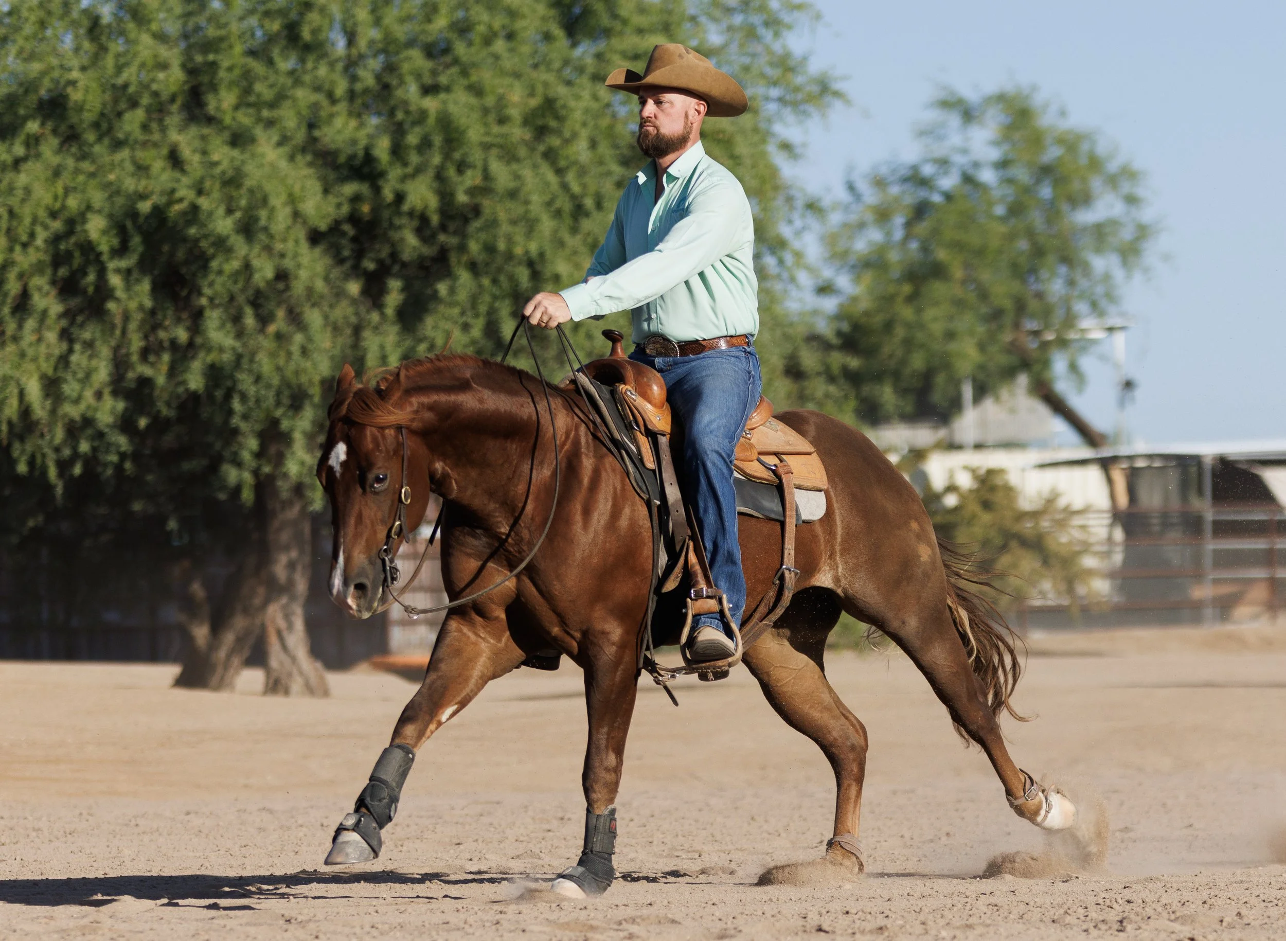 Copy of MEGA7319.jpeg