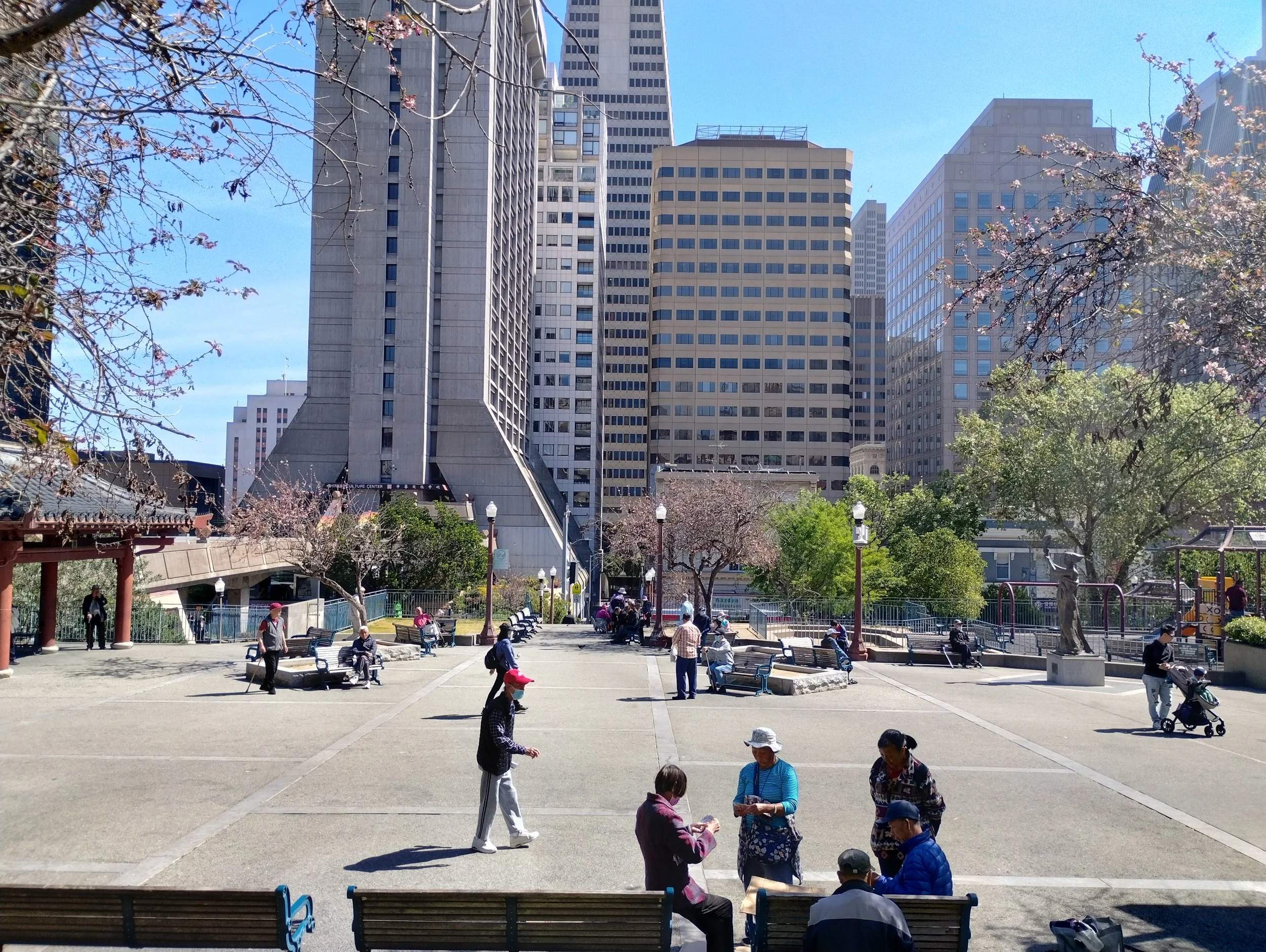 A lively urban park with people sitting on benches, walking, and chatting, surrounded by trees with pink blossoms, in front of tall city buildings on a bright, sunny day.