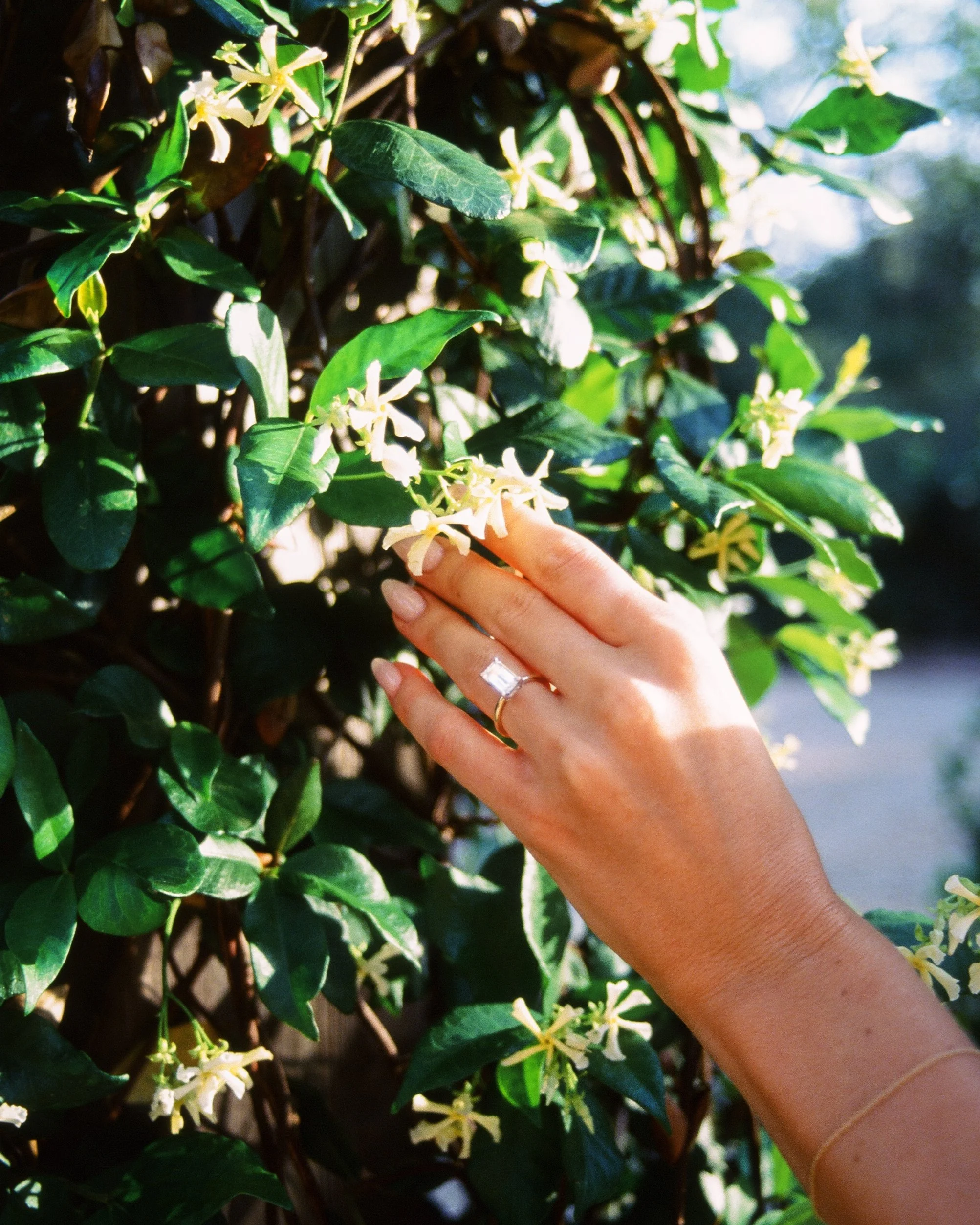 Megan Bridals on Film
