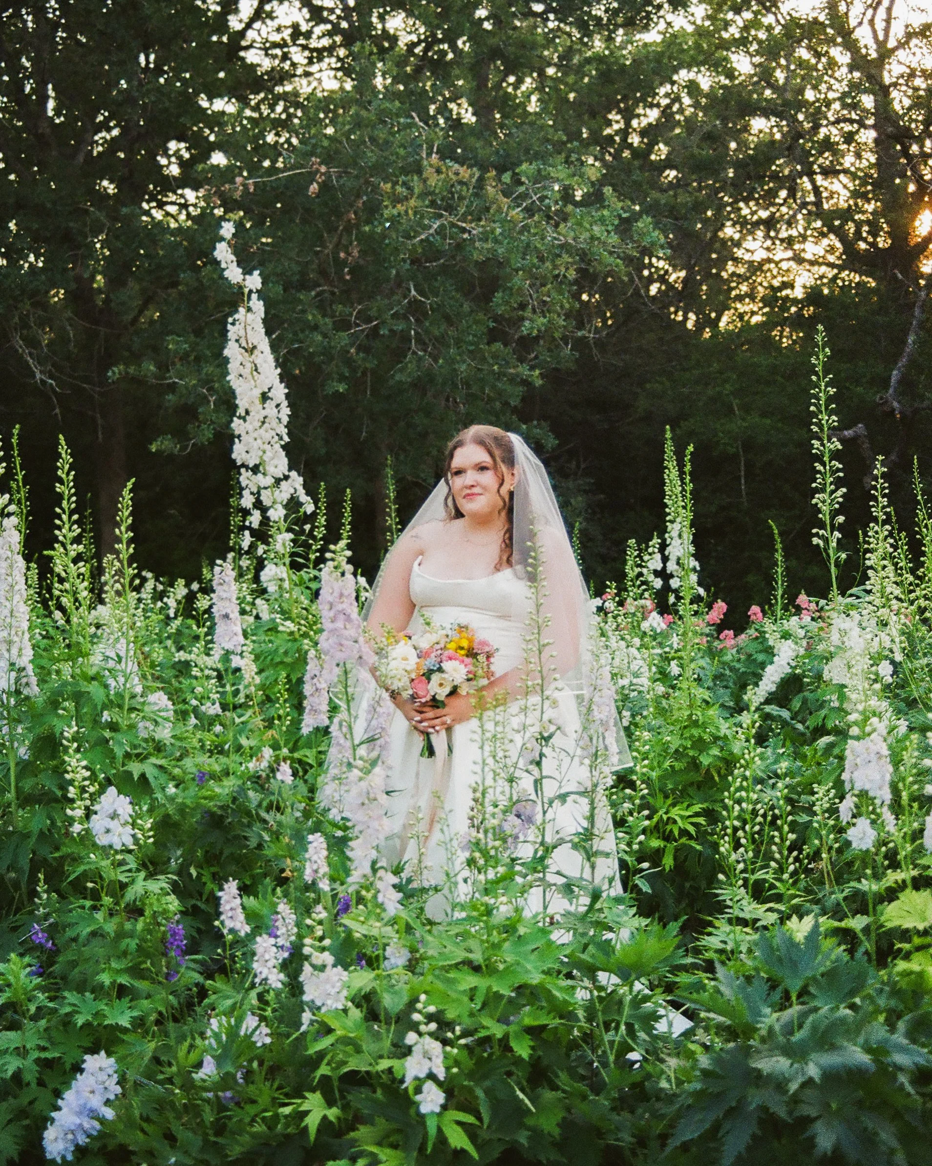 A bride with long brown hair wearing a white wedding dress and veil is standing among tall flowering plants with white and pink blossoms, set outdoors during sunset with large trees in the background.