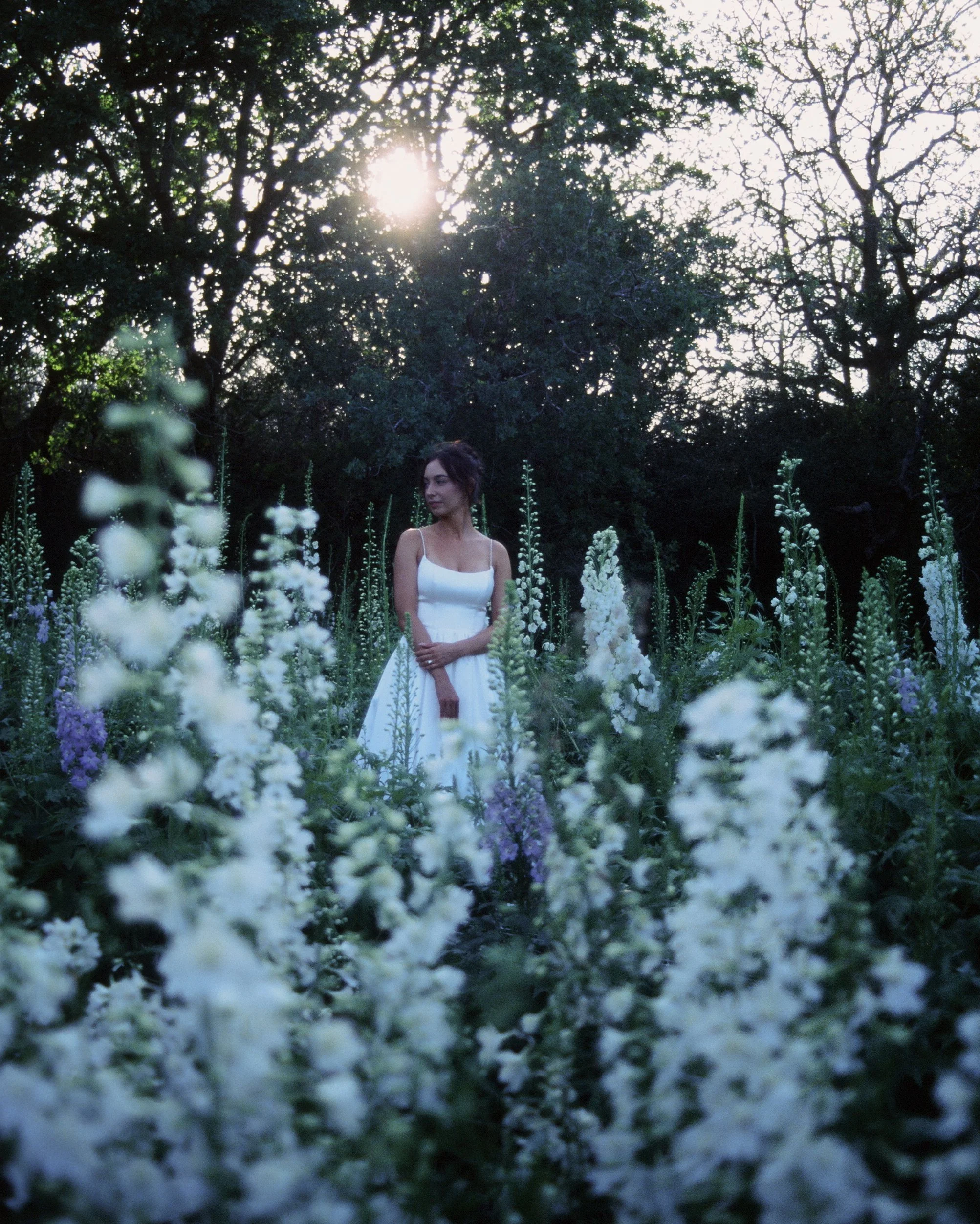 A woman in a white dress stands amid tall white flowers in a garden, with sunlight filtering through trees in the background.