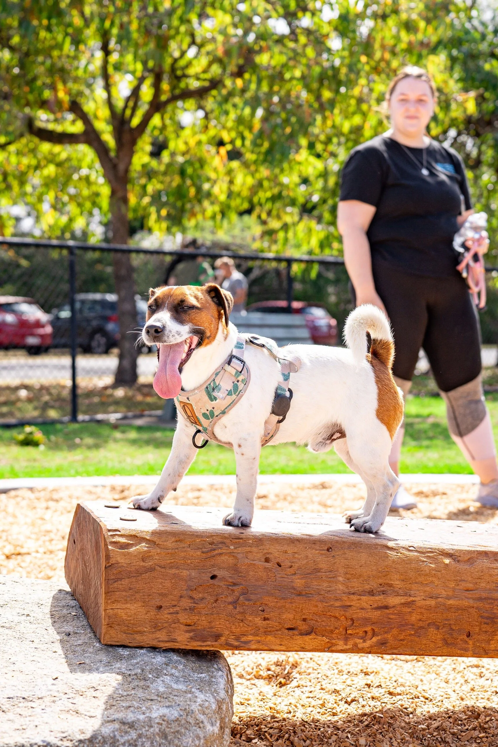 Englefield Road Dog Park Grand Opening - Cr Sarah Hutton26.jpg