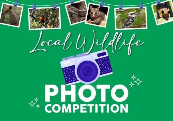 World Environment Day Photo Competition