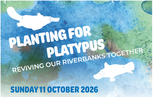Planting for Platypus
