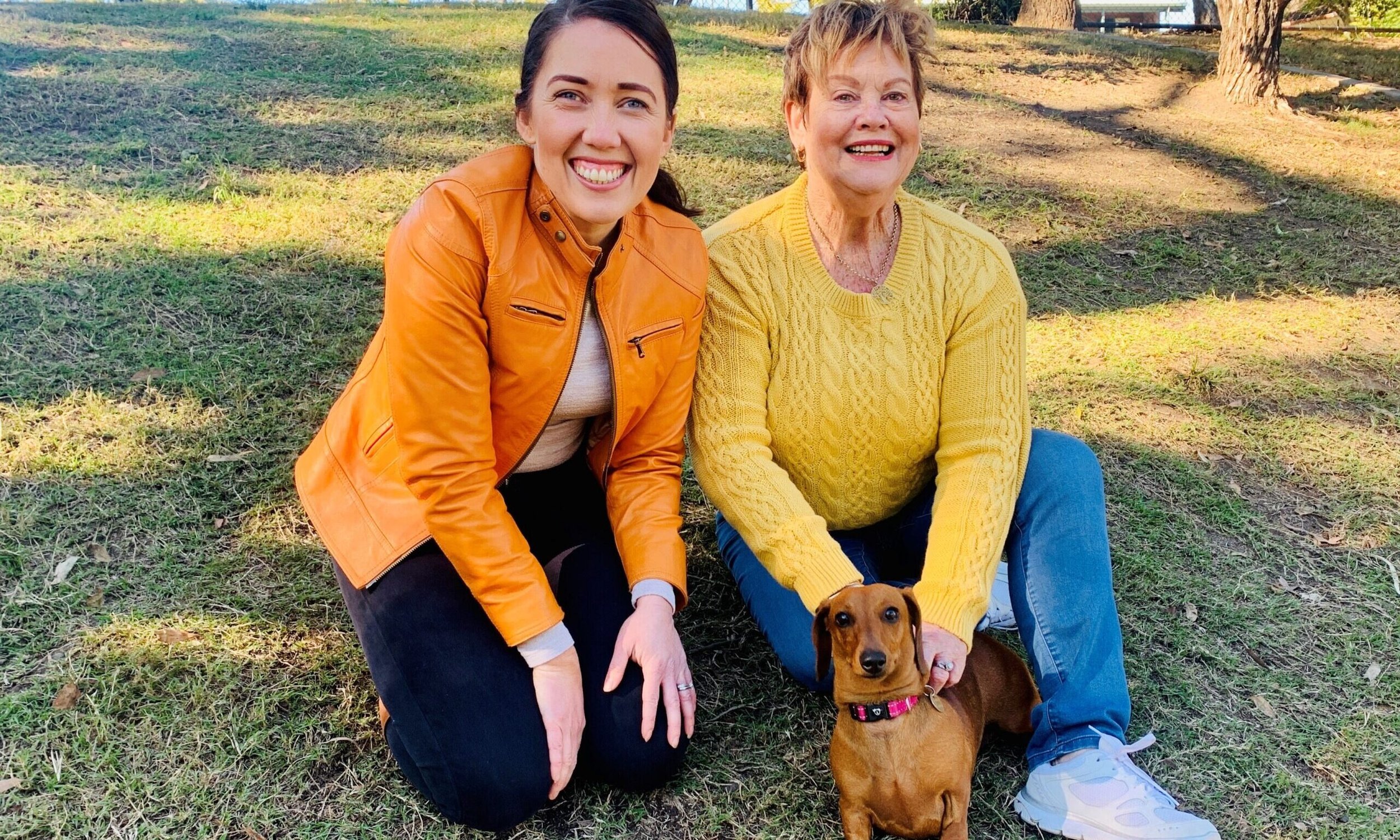 Ducie Street Dog Park Upgrade