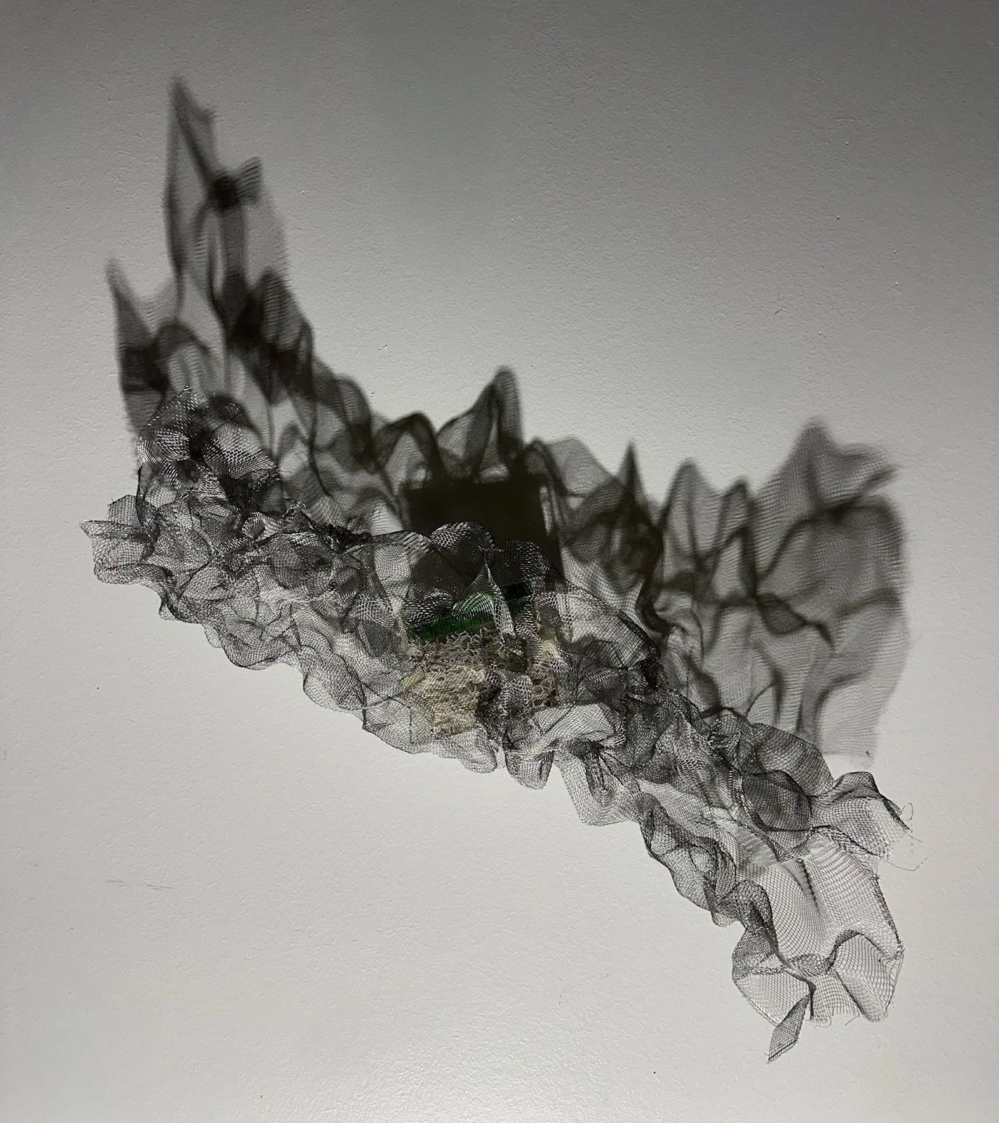 Lattice of Evidence, 2025
Gel electrophoresis cassette holder, paper, acrylic, metal fabric
H18”xW21”xD6”