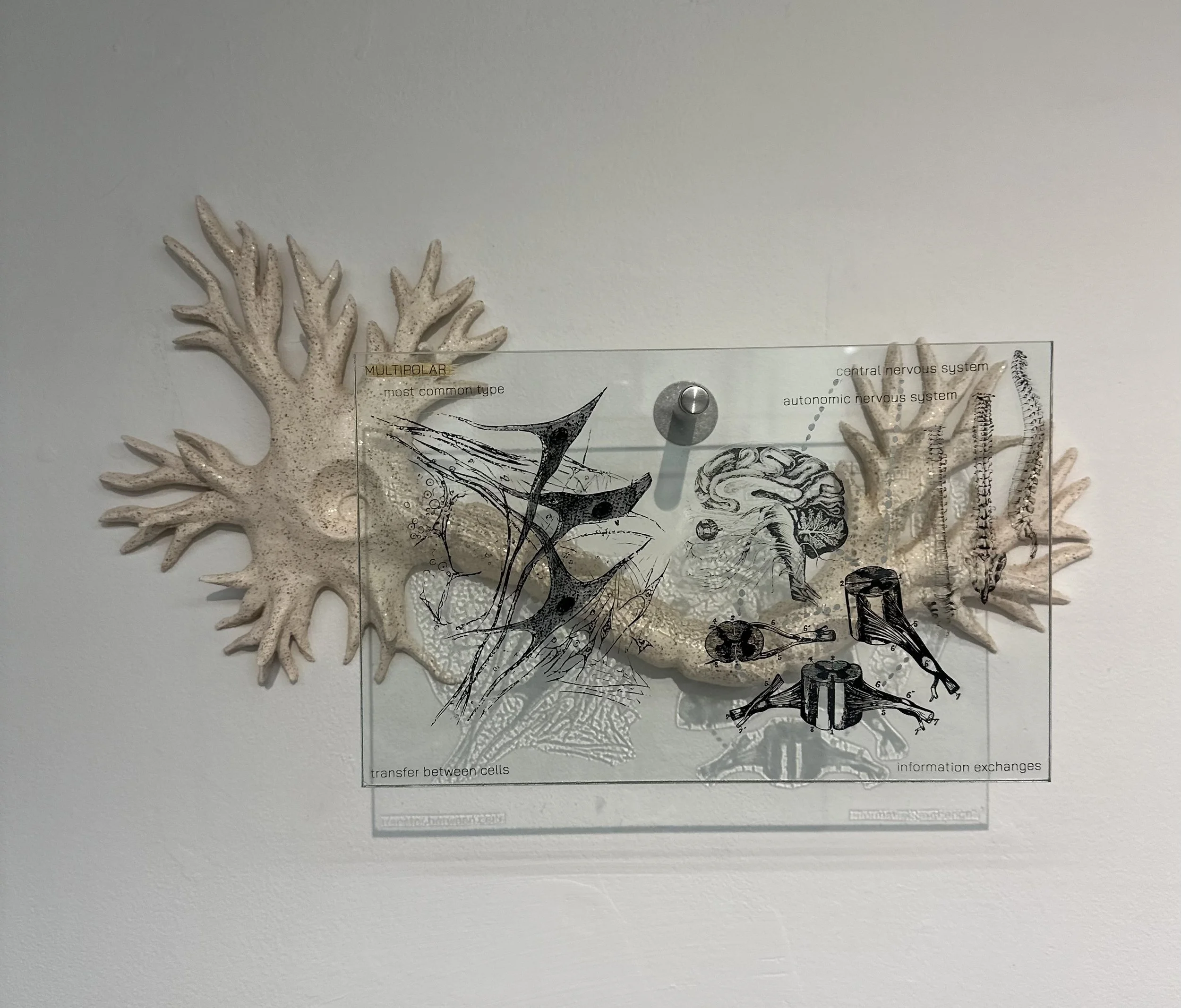 Multipolar, 2026
Ceramic and flat glass