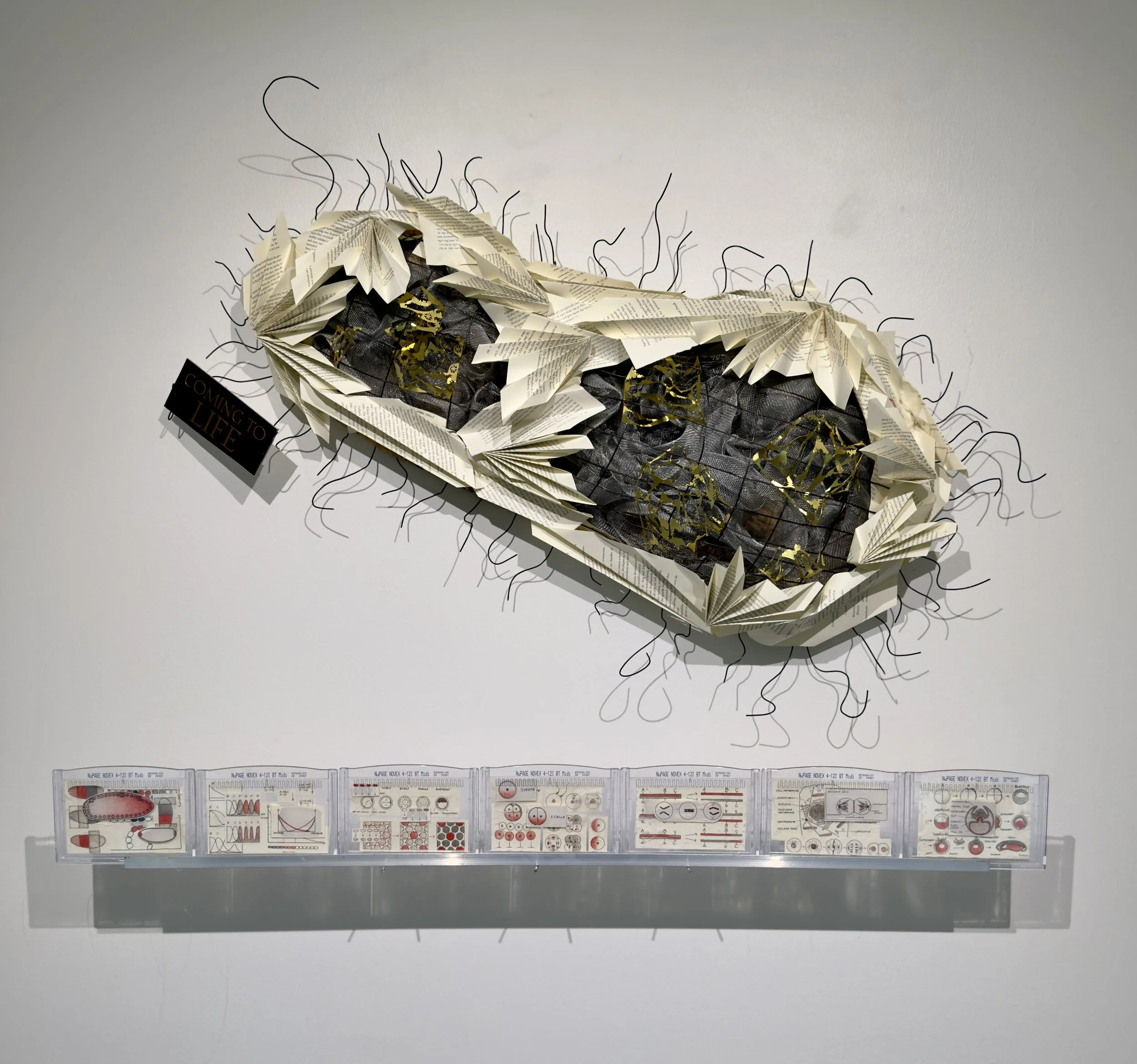 Coming to Life, 2026
Found book, wire, metal mesh, assorted found metal and laboratory materials
H36"xW42"xD8"