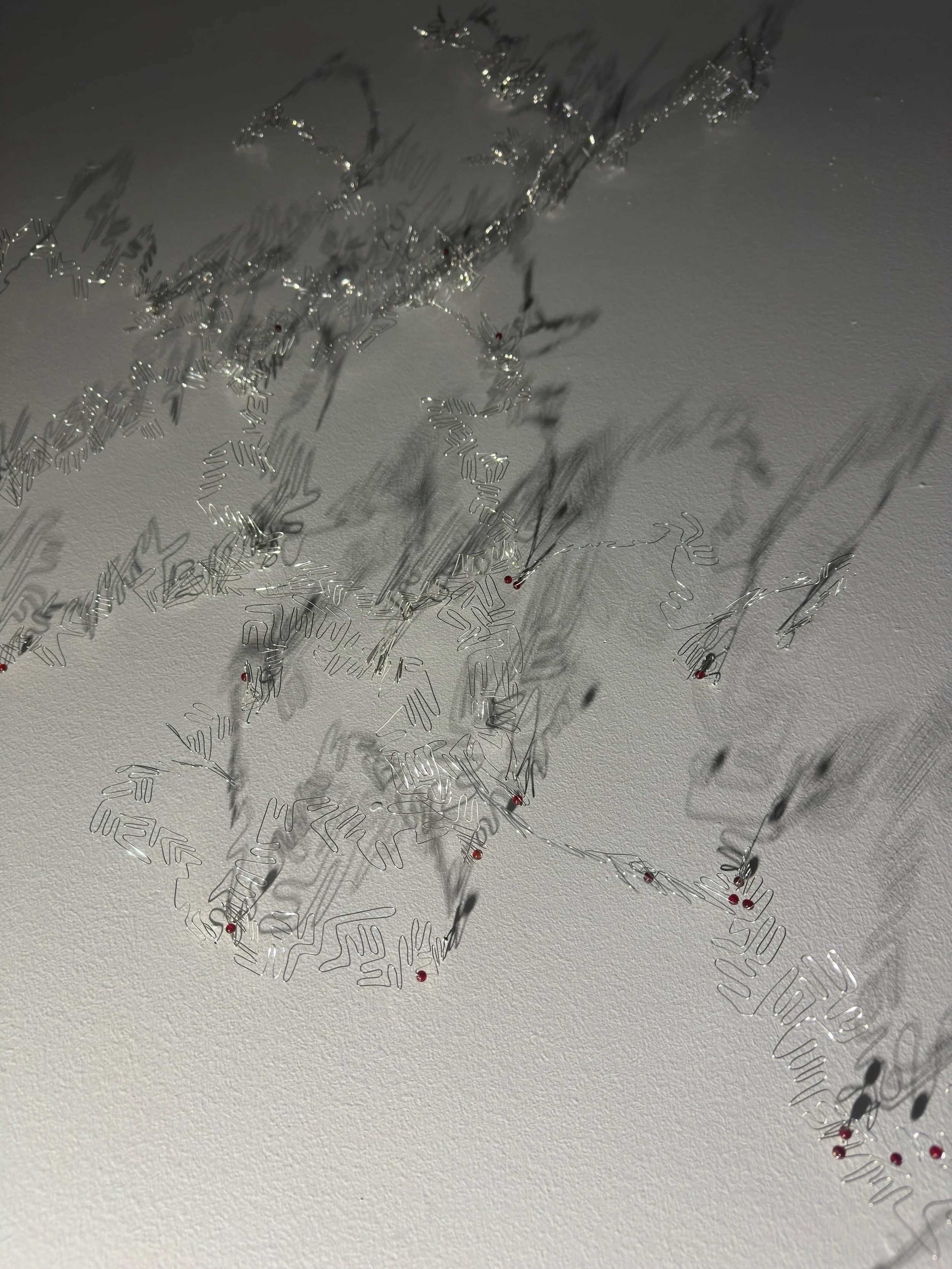 Consolidation (detail image)
2025
Wire, glass beads, light
58x34x3