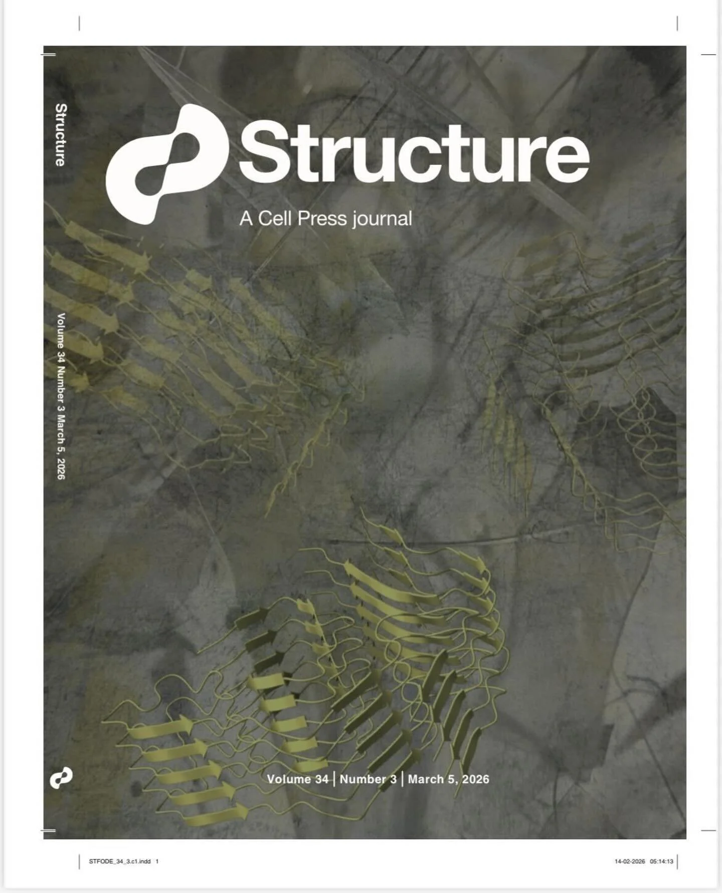 I am thrilled and deeply grateful to share that my artwork has been selected for the cover of Structure, A Cell Press journal, marking my first scientific cover publication.

This opportunity would not have been possible without the generous collabor