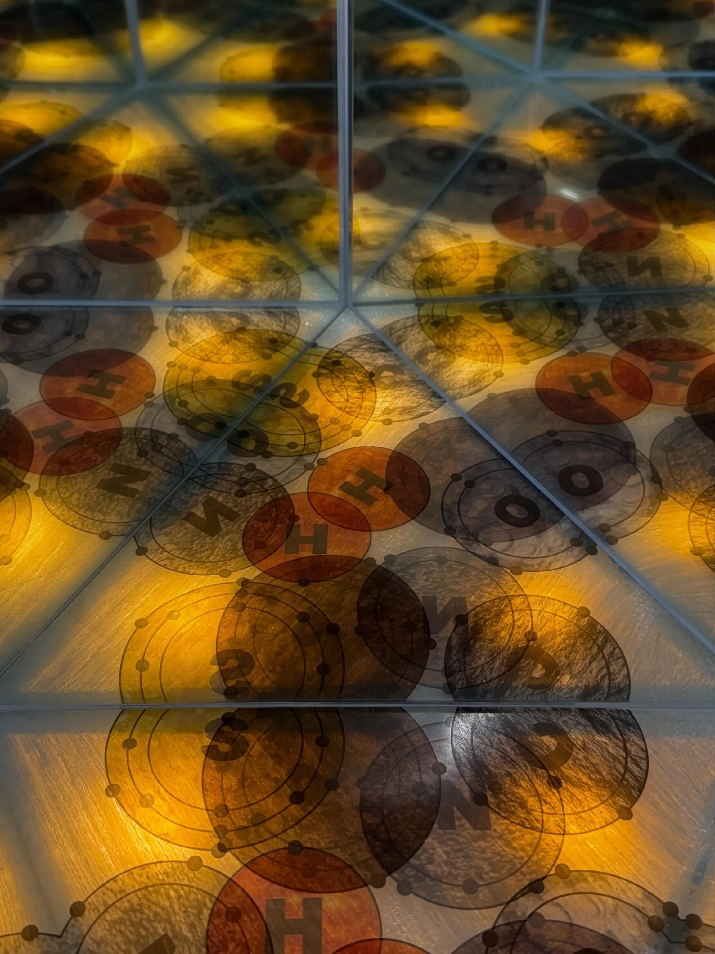 Reflections of elements of life