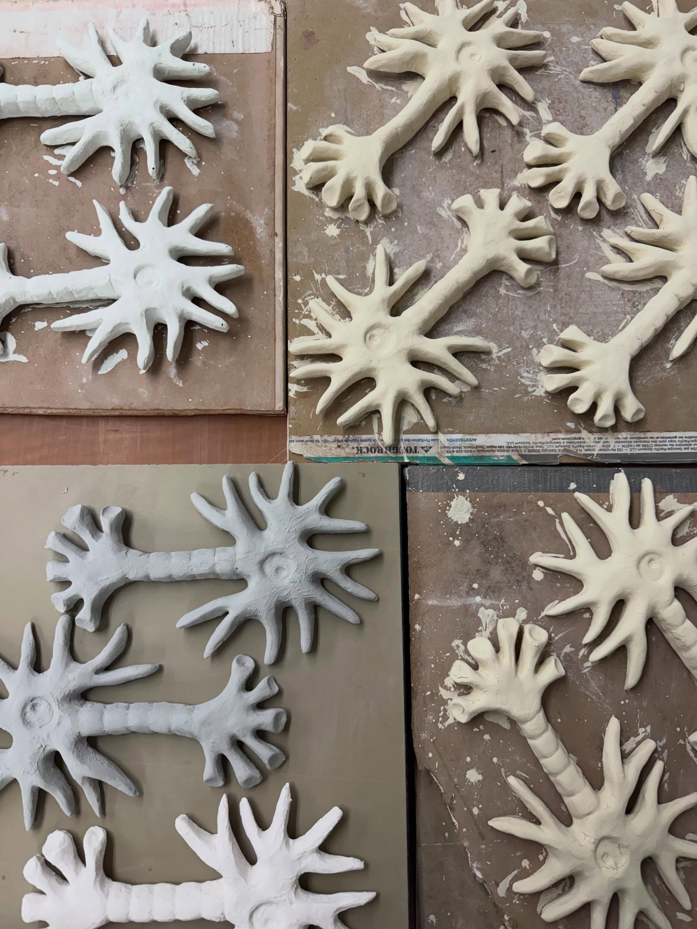 neurons, neurons, and even more neurons