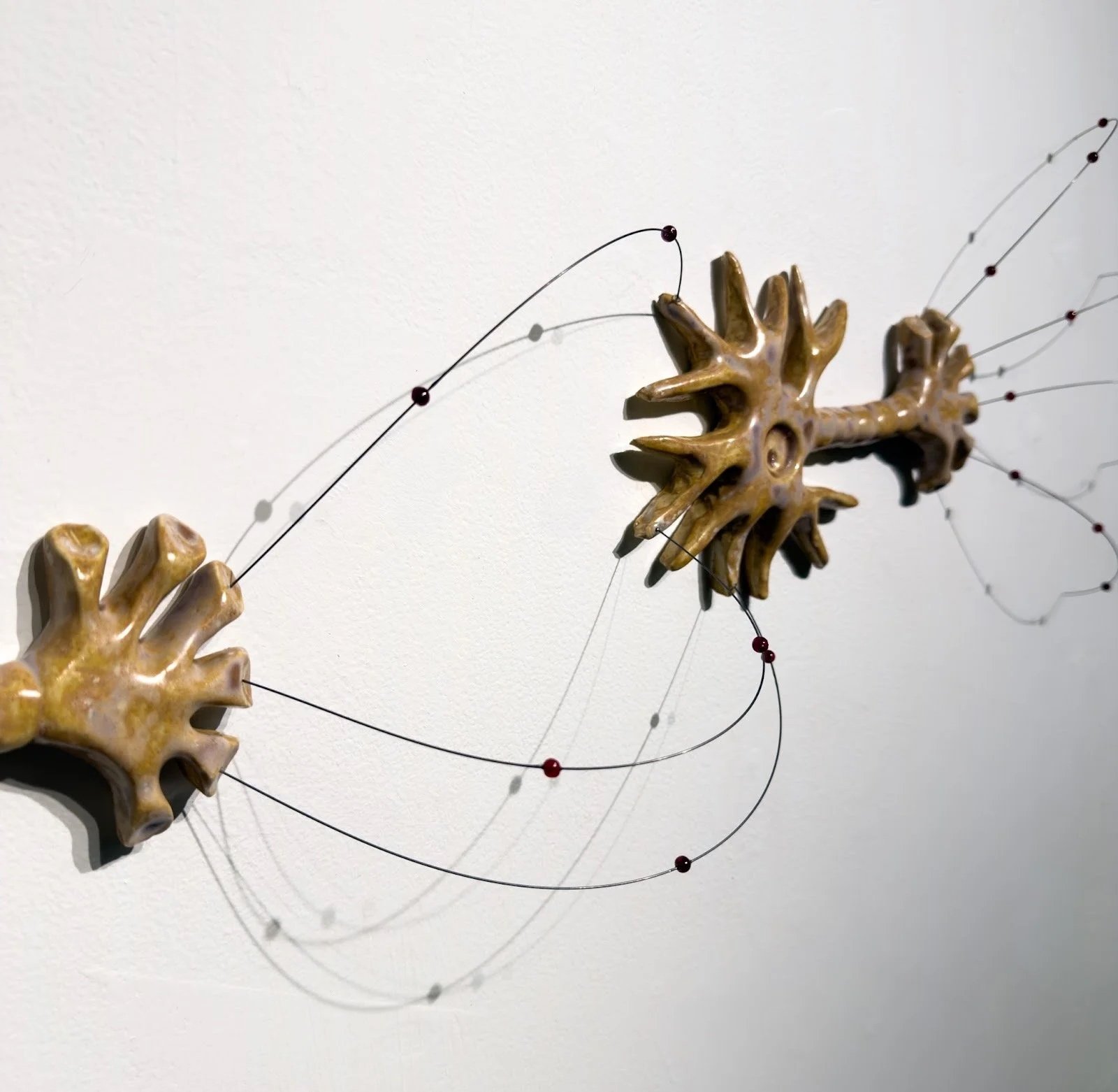 Excitatory (detail), 2026
Ceramic, music wire, glass beads
H19”xW46”xD4”