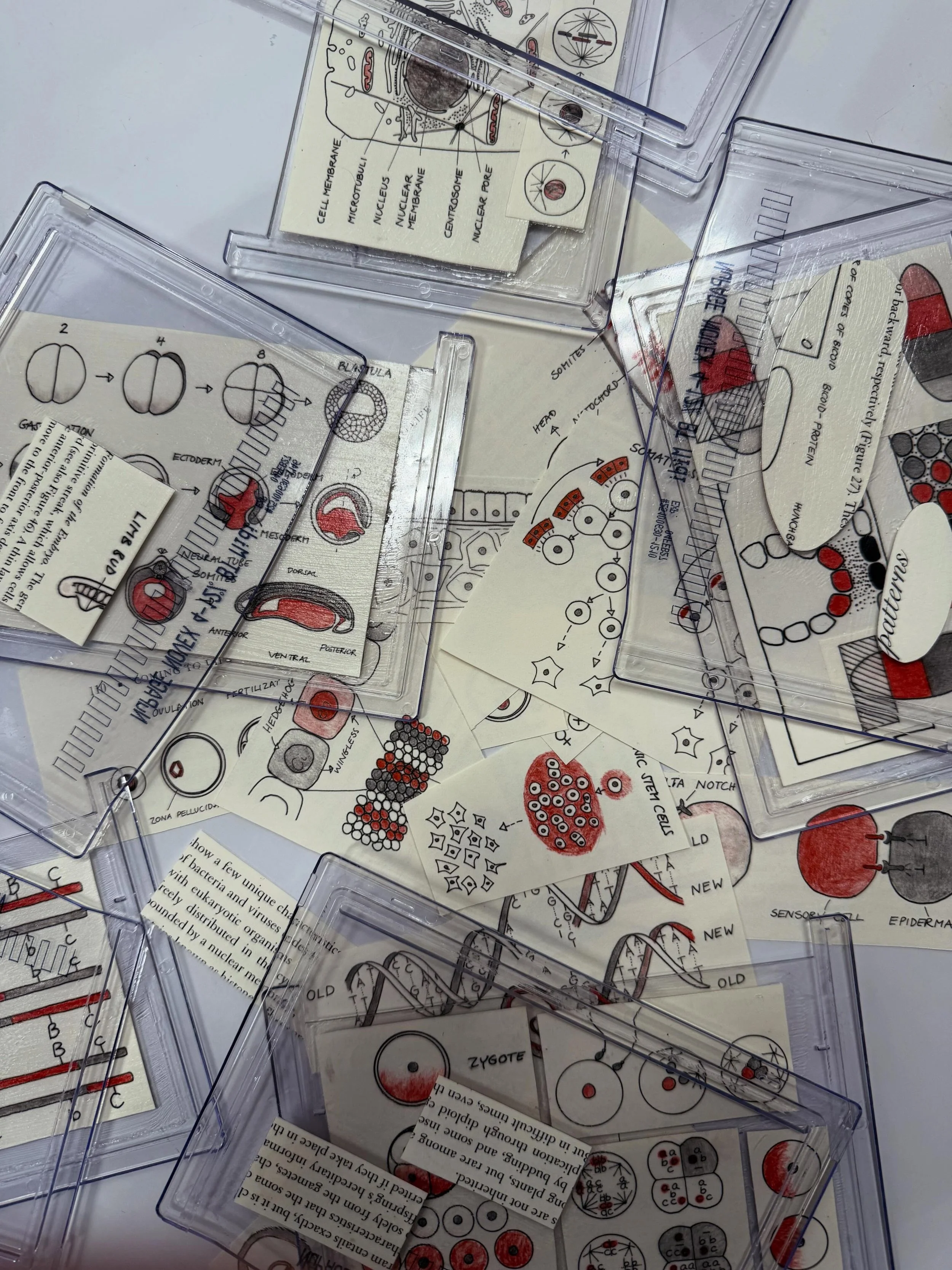 Book arts is in full swing! Excited be learning how to make and dissect books!