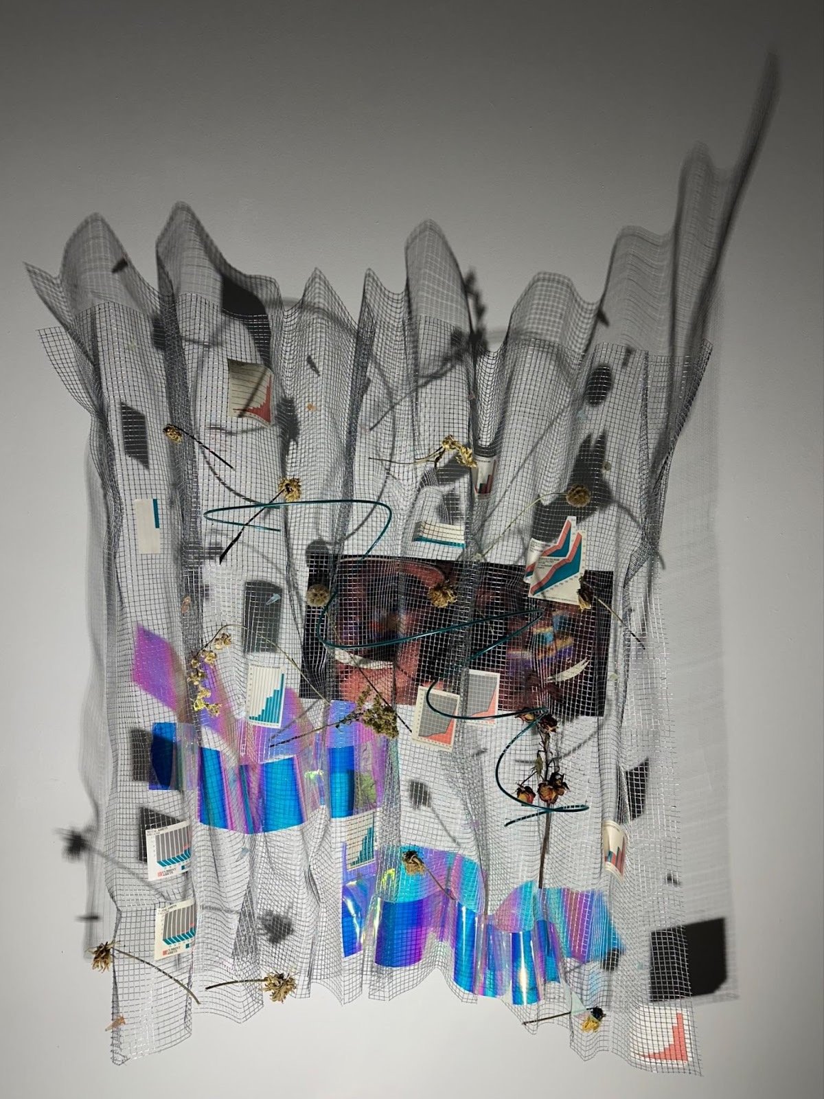 Market of Ideas, 2025
Metal mesh, wire, magazine paper, dried flowers, multicolor test tubes
H35”xW32”xD18”