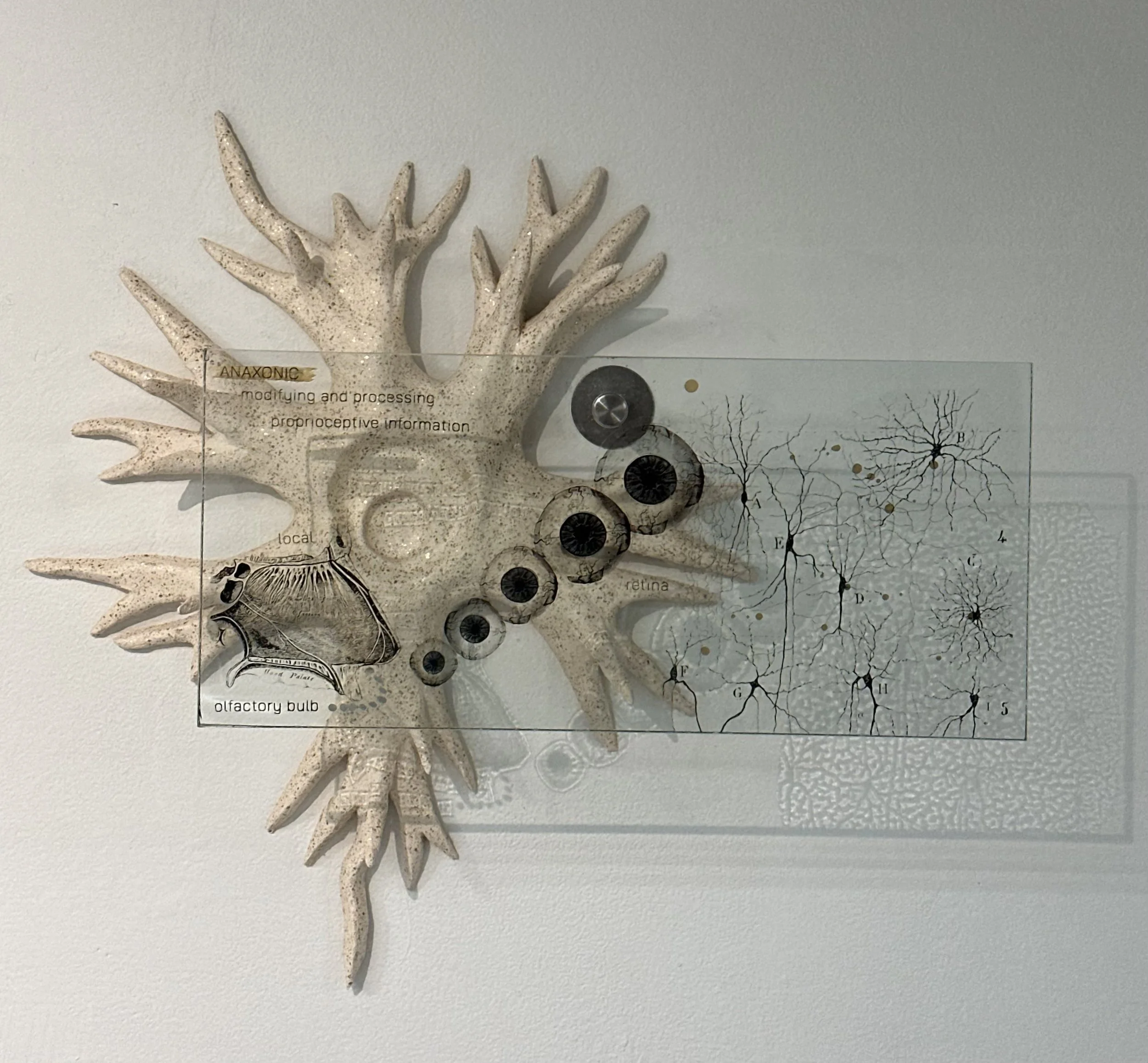 Anaxonic, 2026
Ceramic and flat glass