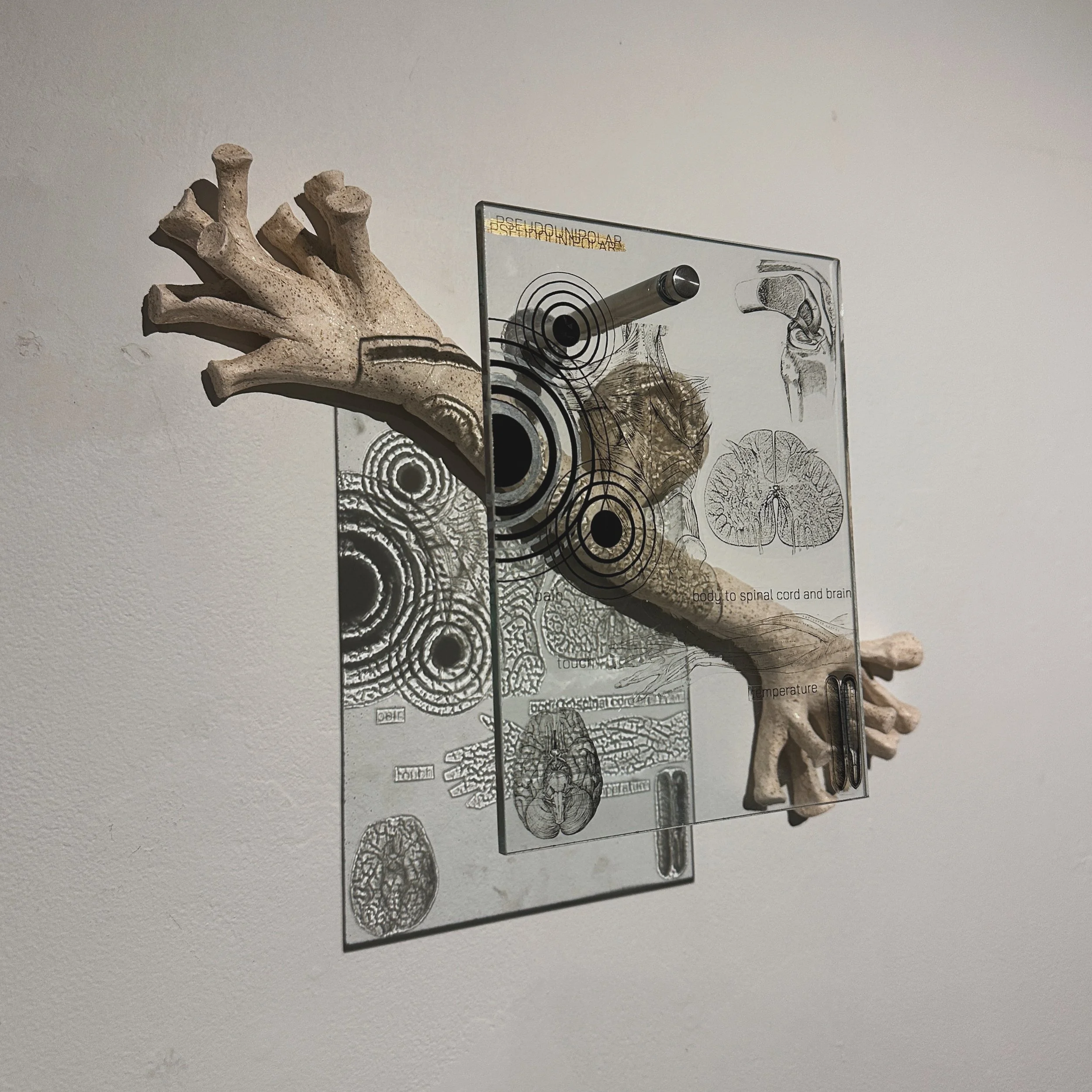 Peudounipolar, 2026
Ceramic and flat glass