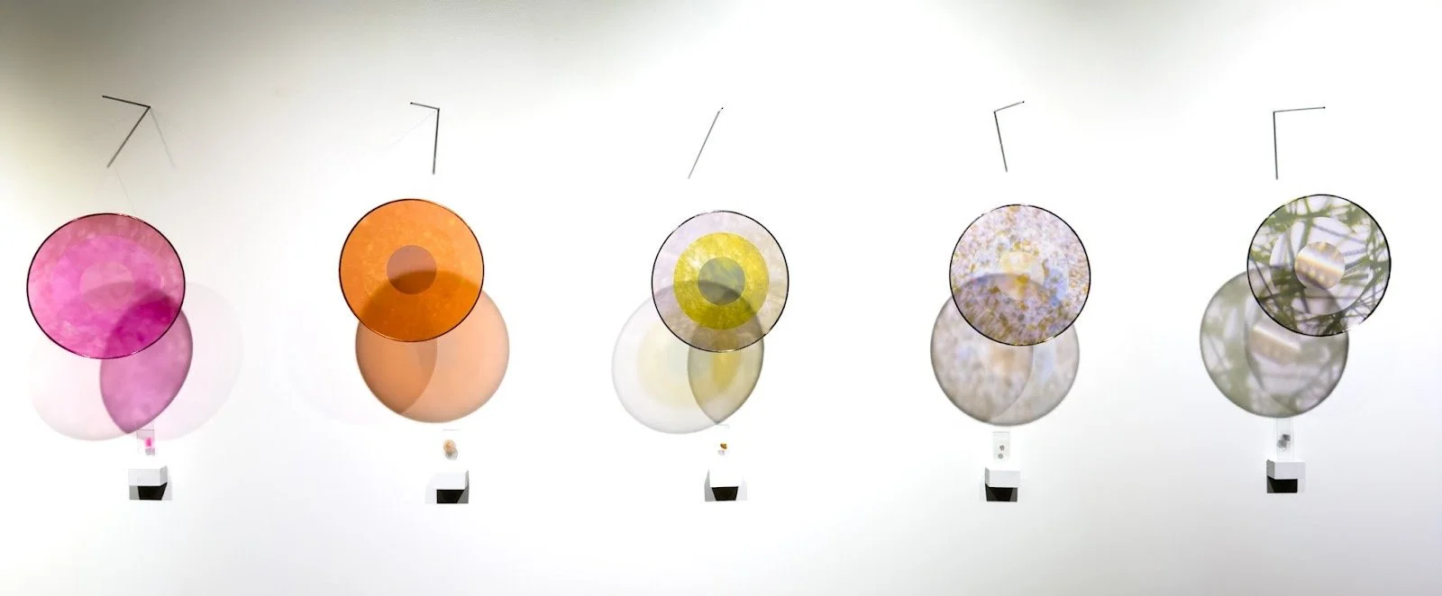 Architecture of the Ordinary (Samples 6-10), 2026 
Transparency, glass sample slide, microscopic images, steel rod, macrame ring, wood
H23”xW8”xD10” (each)