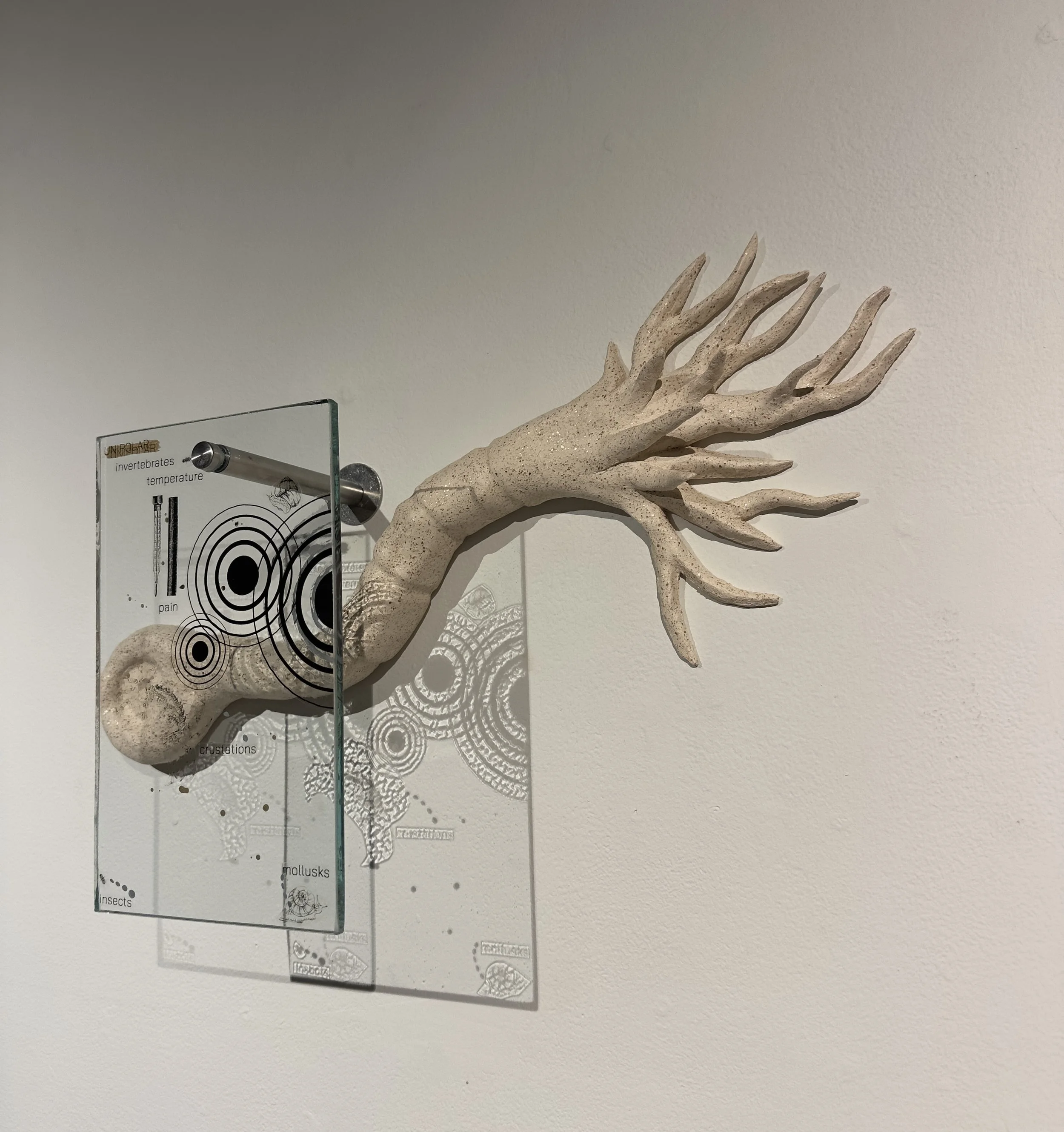 Unipolar, 2026
Ceramic and flat glass