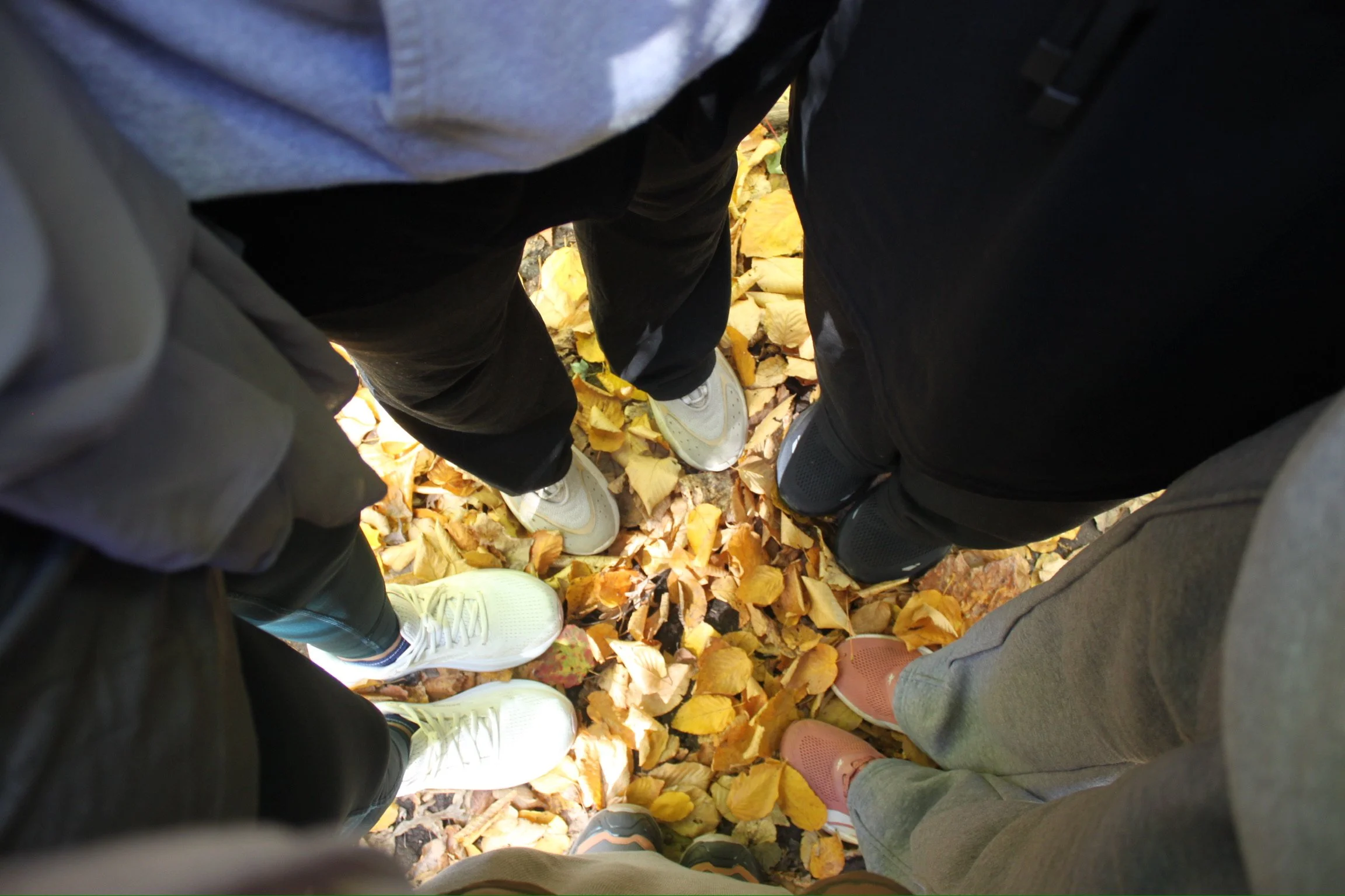 Top-down view of five people standing on fallen autumn leaves, wearing sneakers and standing closely together outdoors.