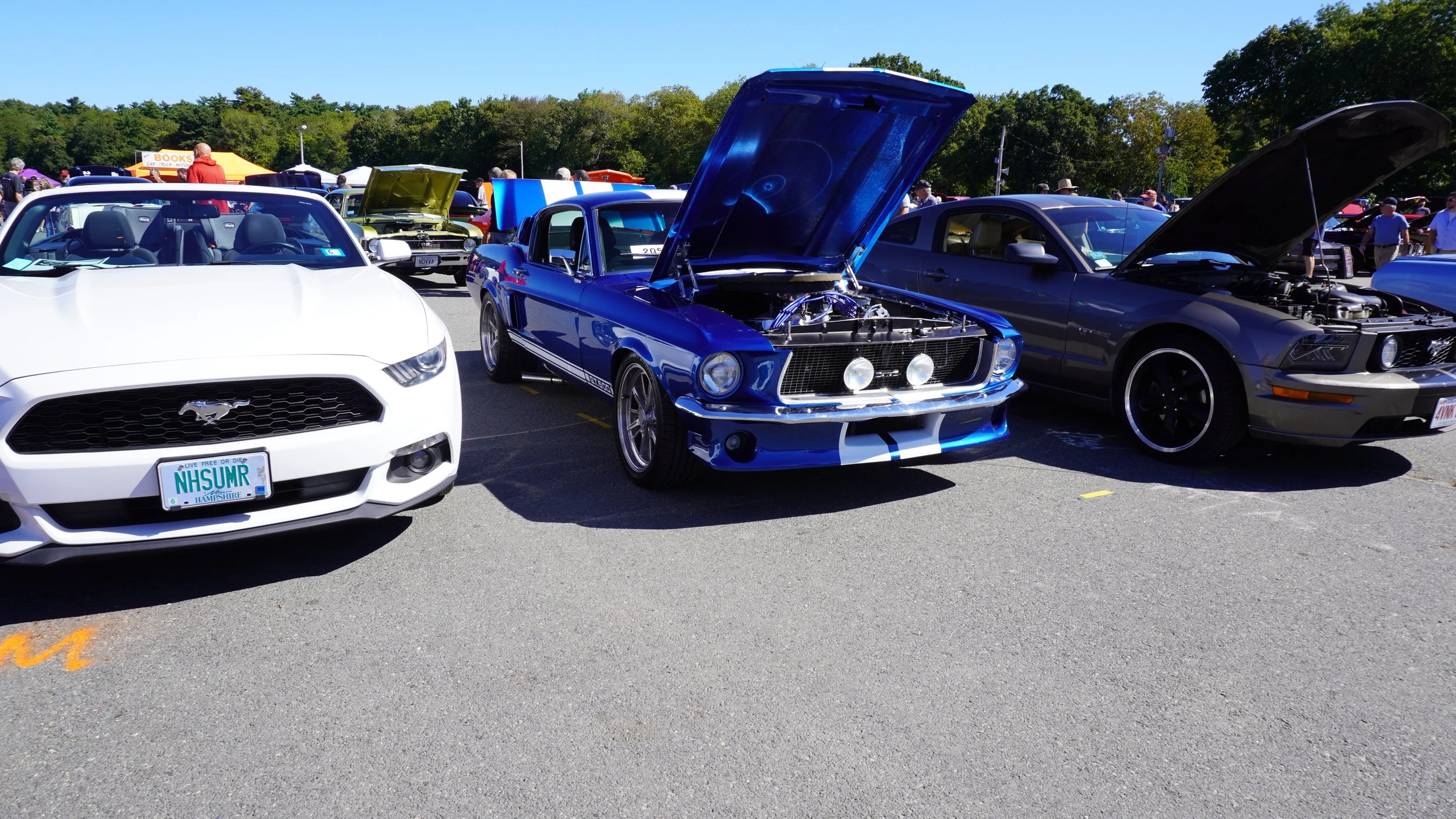 DSC03785.JPG