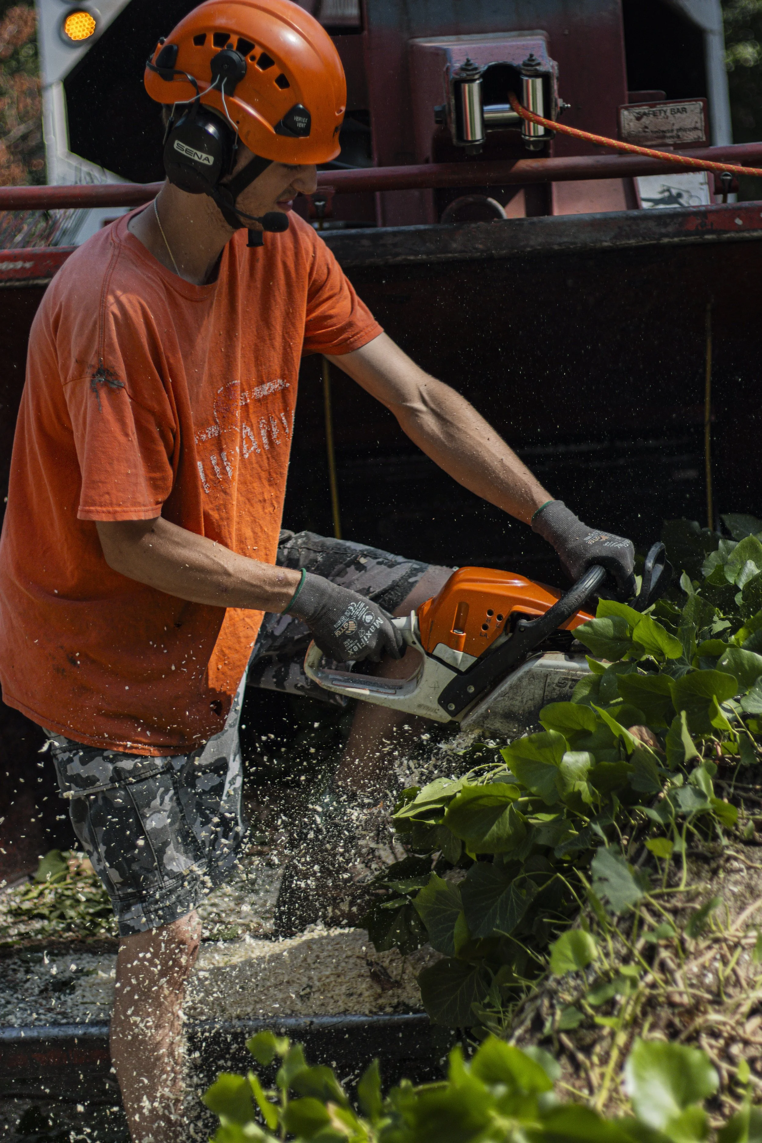 Tree Service Chagrin-26 - Copy.jpg