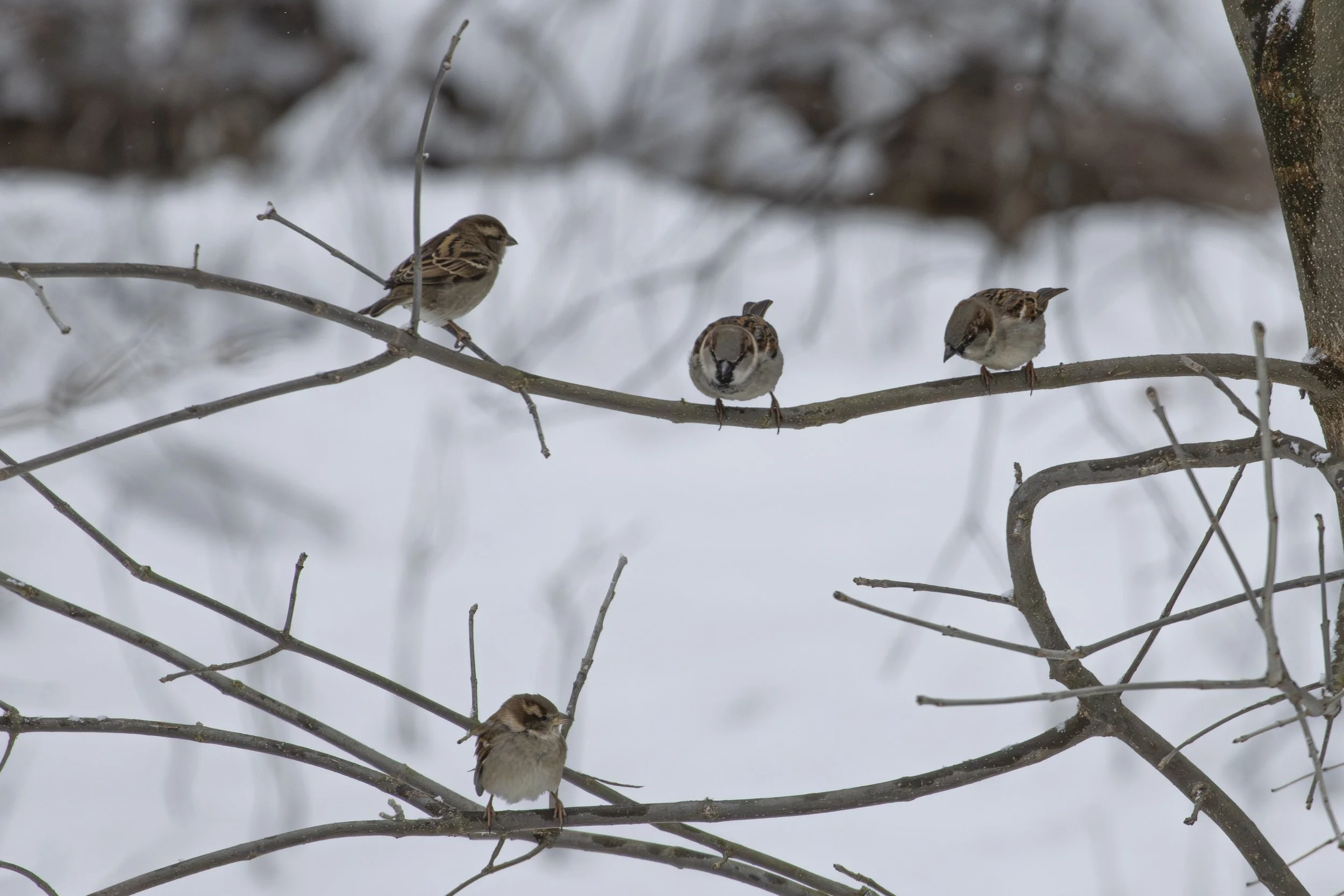 December 2026-12.jpg